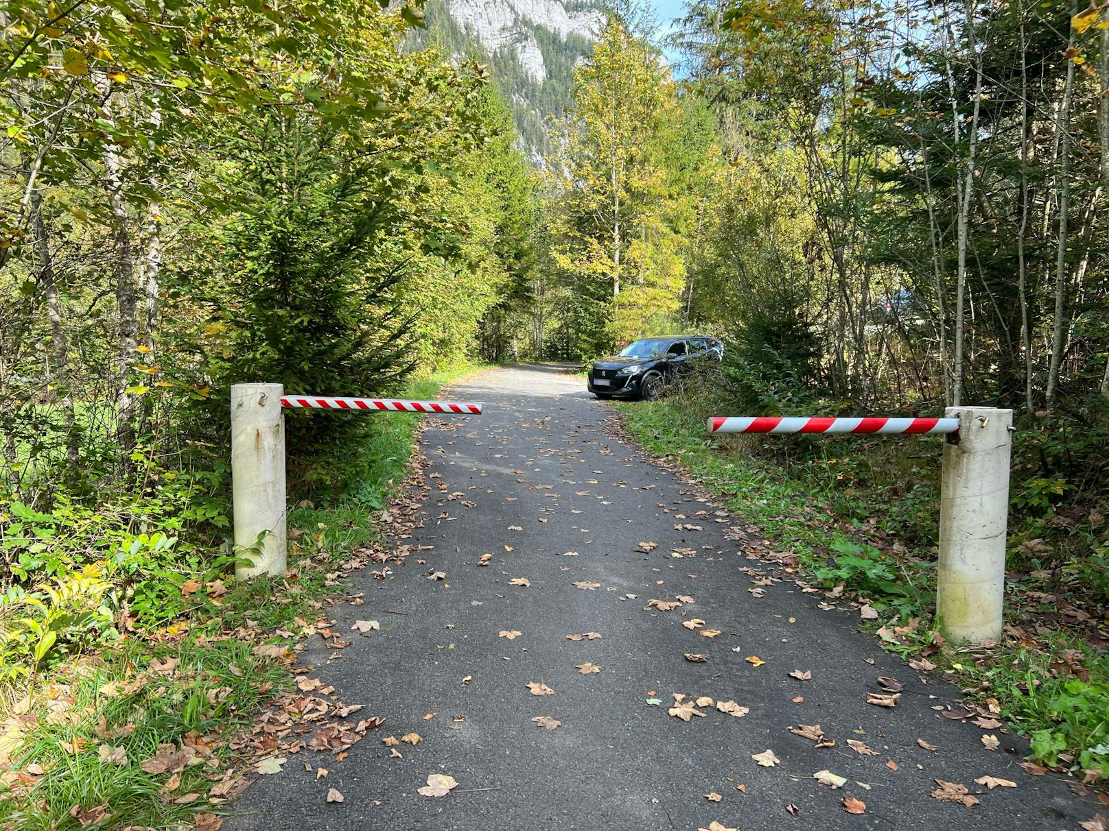 Der Lenker versuchte, weiter zu flüchten und steuerte das Fahrzeug auf einen Waldweg, der durch einen Schranken versperrt war.&nbsp;