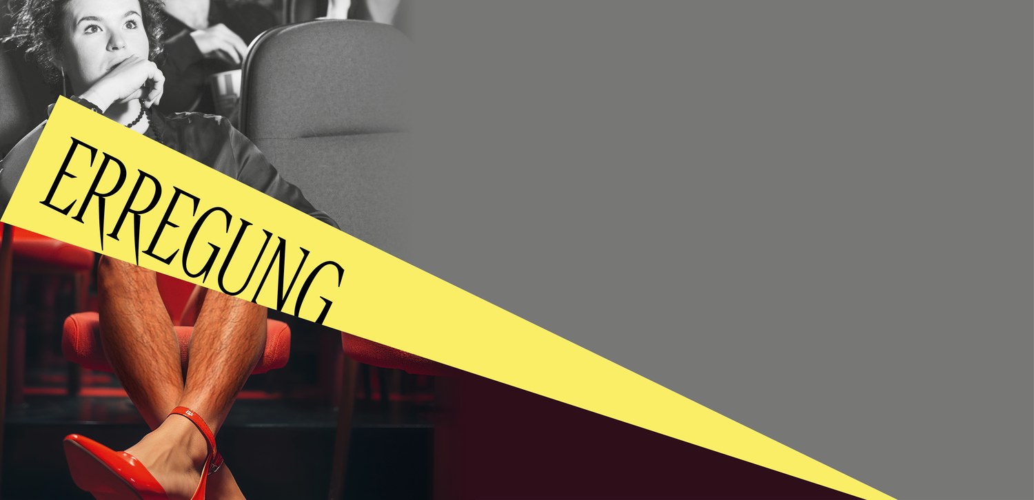 Schaulust! Pornografie und Alltag