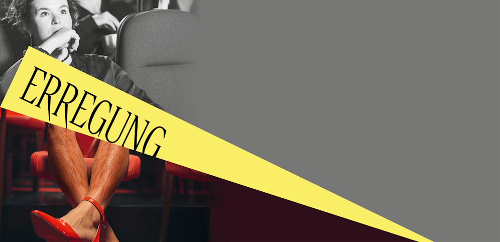 Schaulust! Pornografie und Alltag