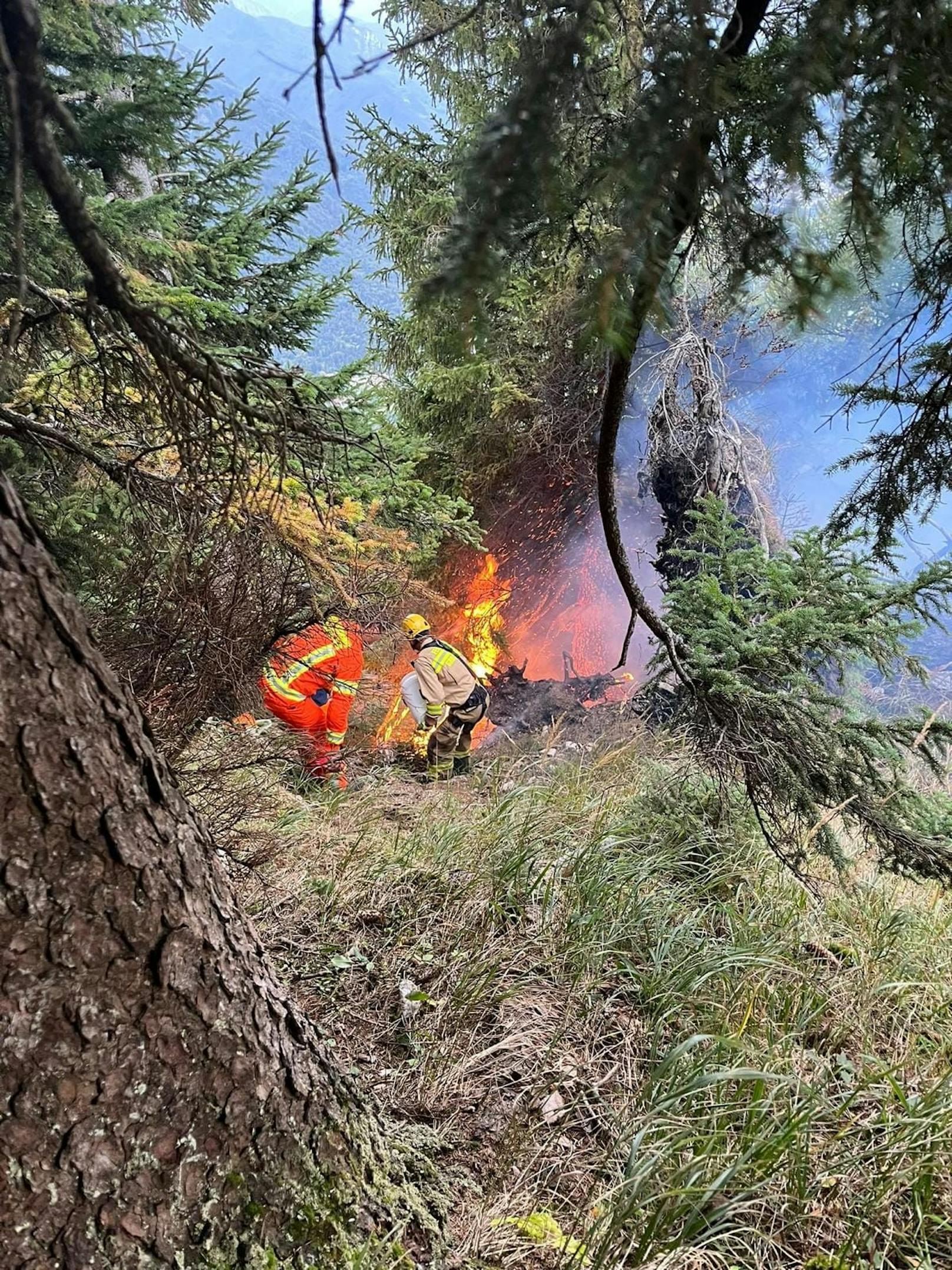 Feuerwehr-Großeinsatz bei Waldbrand am Untersberg