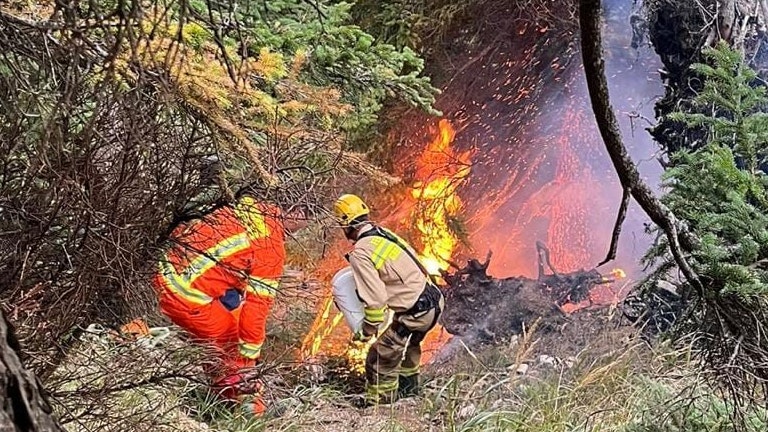 Waldbrand Salzburg Untersberg