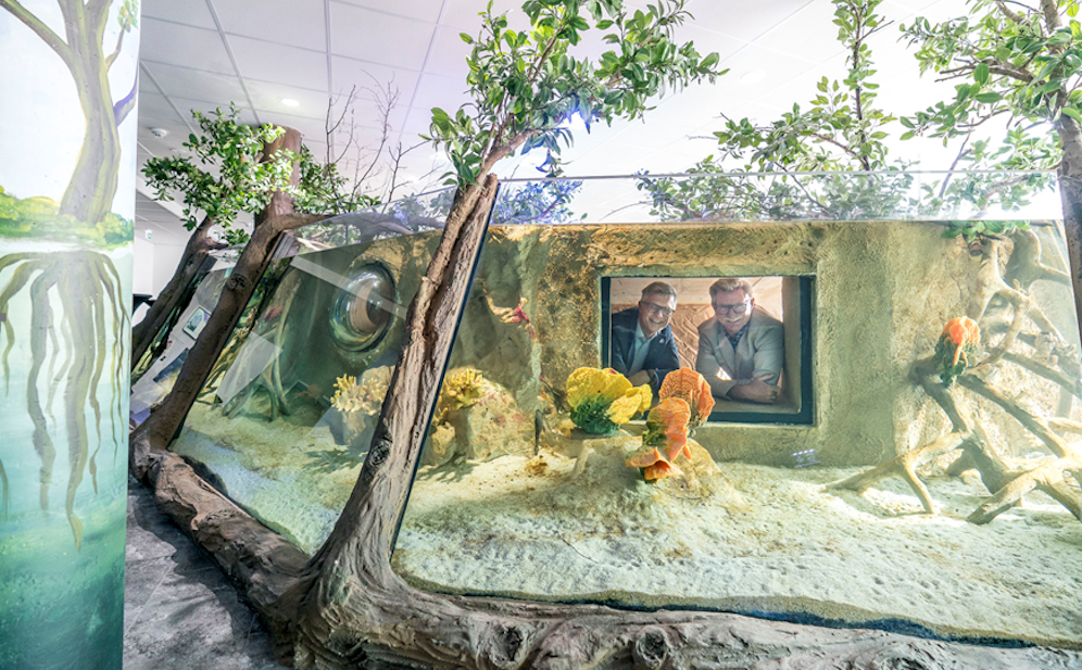Das Haus des Meeres eröffnete das letzte Stockwerk im gläsernen Zubau: Dort dreht sich alles um den Lebensraum Mangrove.