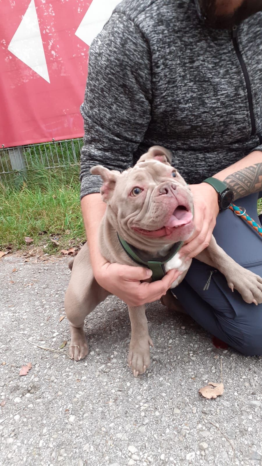 Spaziergänger fanden die arme 