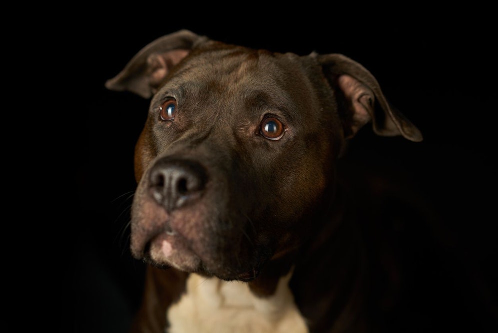 Wir feiern heuer den 