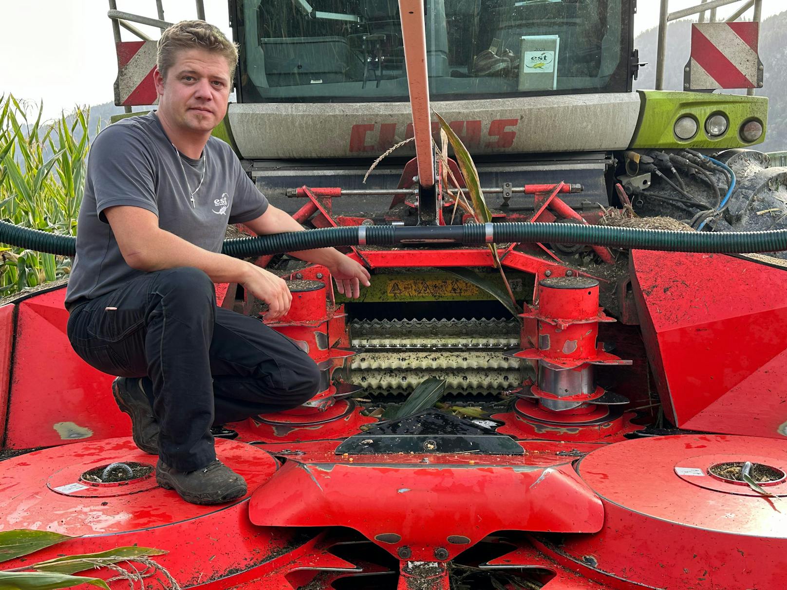 Der Tiroler Landwirt Martin Thaler lobt nach einem brutalen Sabotage-Akt ein 10.000-Euro-Kopfgeld aus. Unbekannte hatten eine Stahlplatte an eine Maispflanze geklebt und so am 8. Oktober 2023 seinen Häcksler schwer beschädigt.