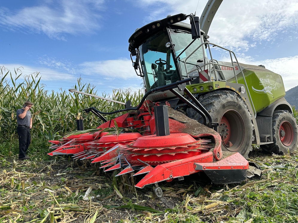 Unbekannte hatten eine Stahlplatte an eine Maispflanze geklebt und so&nbsp;den Häcksler&nbsp;bei der Ernte am 8. Oktober 2023 schwer beschädigt.