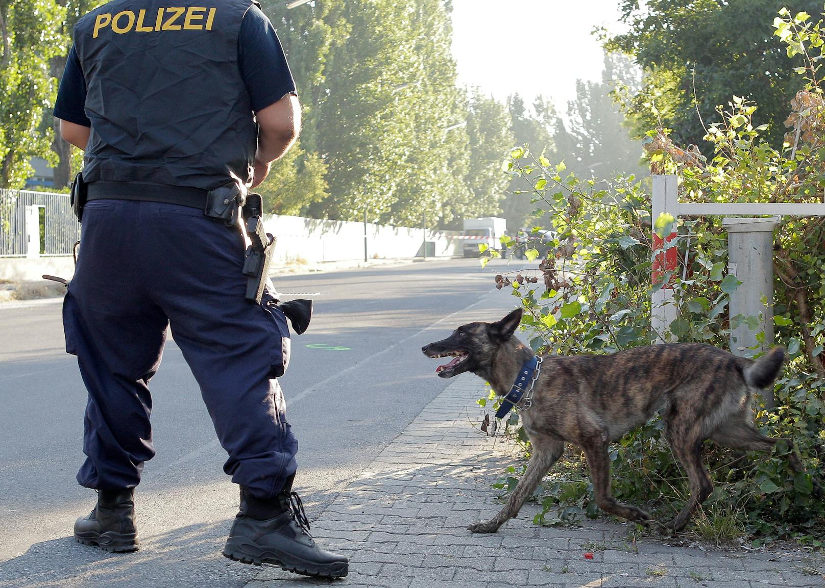 Ein Spürhund der Wiener Polizei im Einsatz. Archivbild.