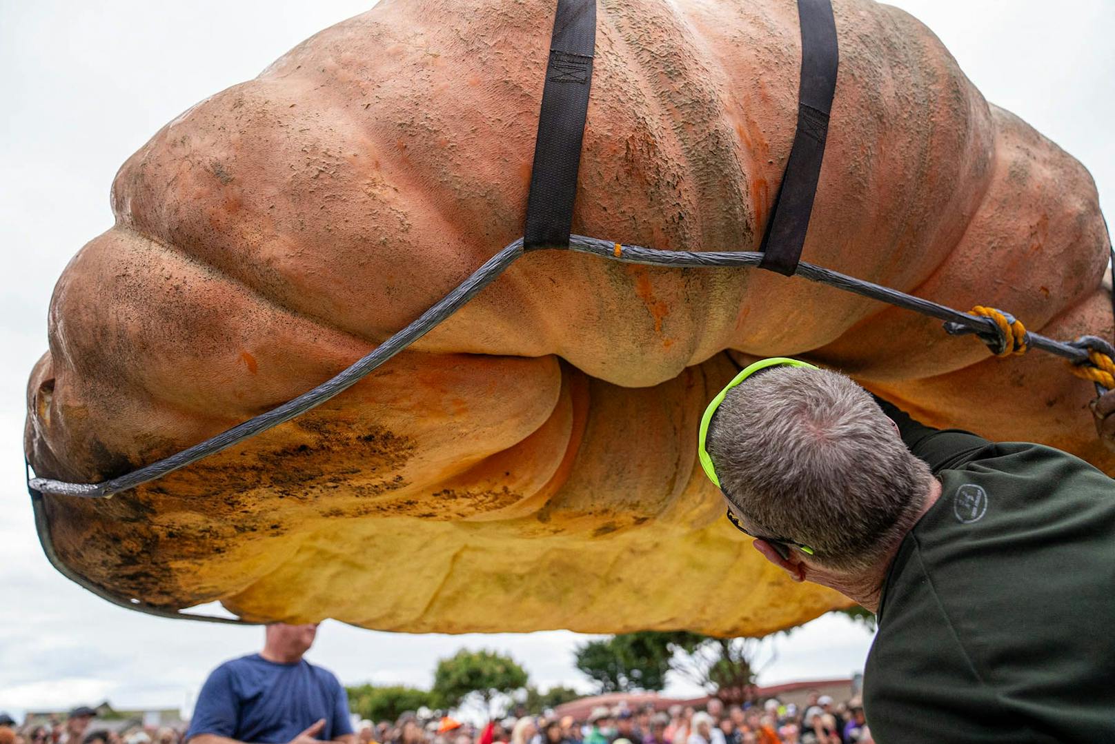 Ein gigantischer Kürbis mit einem Gewicht von mehr als einer Tonne hat in Kalifornien den Rekord für den größten Kürbis der Welt gebrochen ...