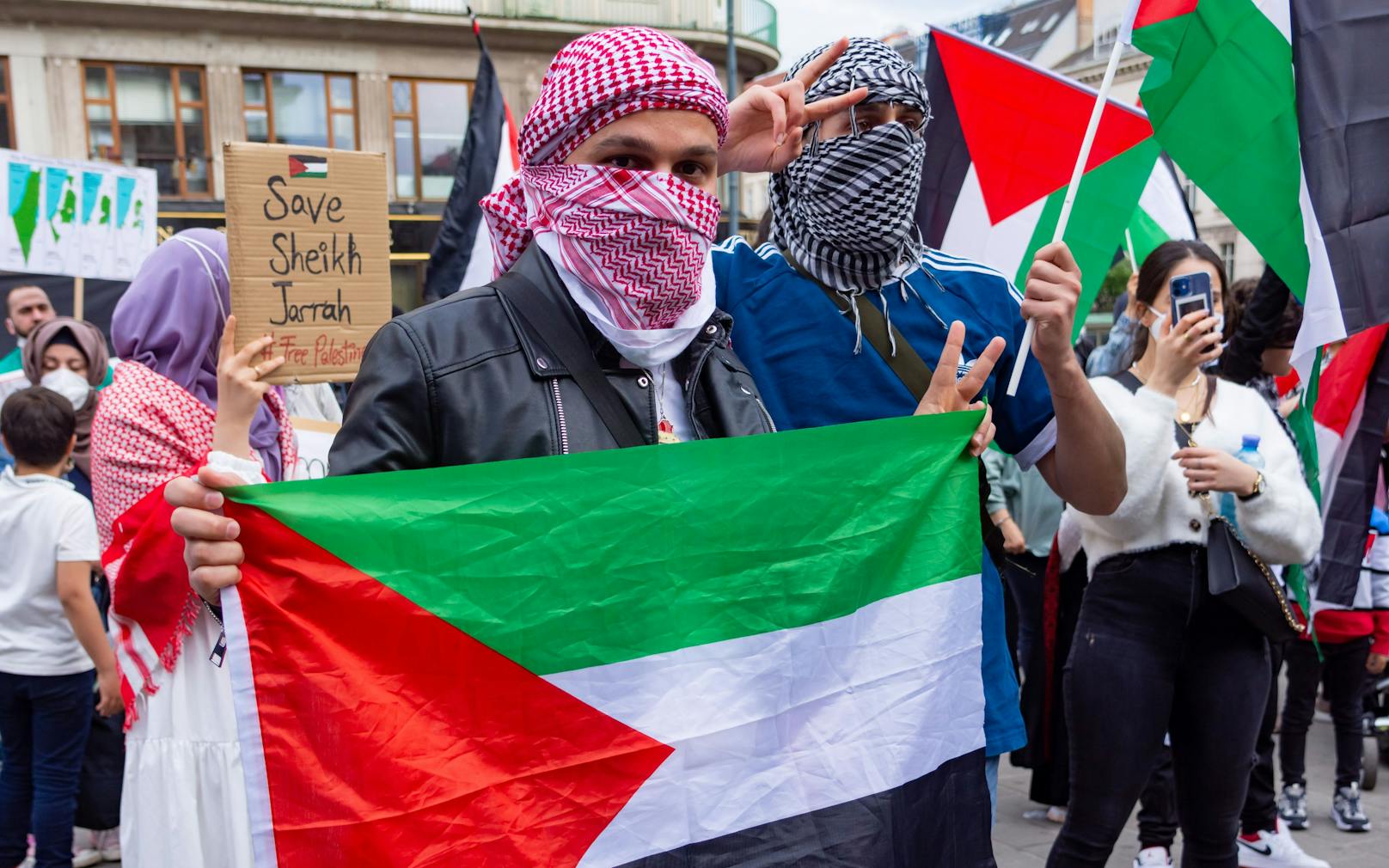Archivfoto einer pro-Palästinenser-Demo in Wien.