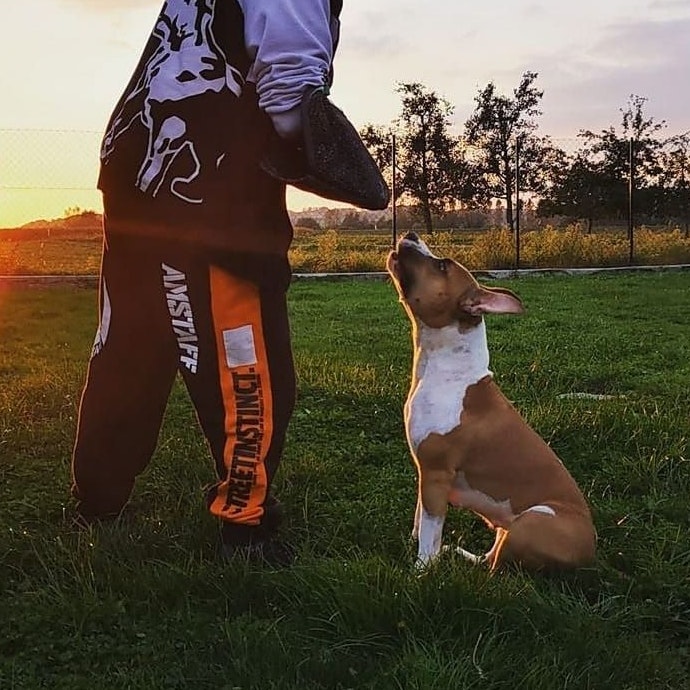 "Elmo" mit seiner Besitzerin