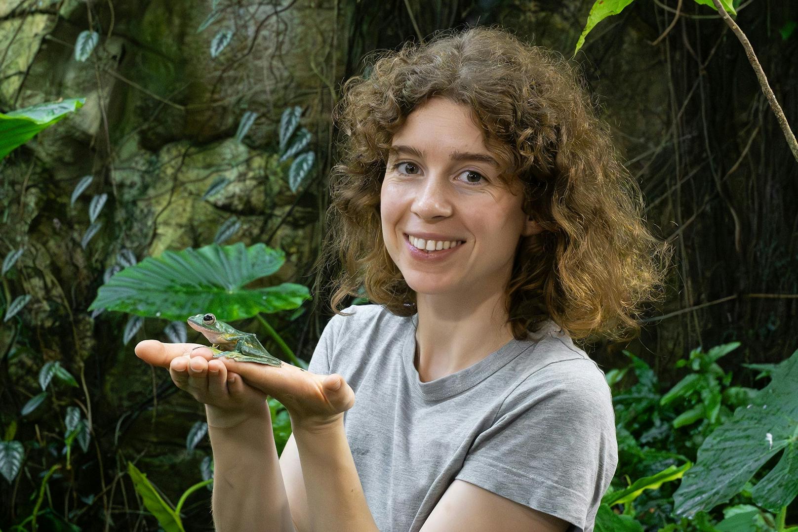 „Die Jungfrösche setzen wohl darauf, dass sie zwar gesehen, aber für etwas Ungenießbares gehalten werden“, erklärt Susanne Stückler, Forscherin an der Universität Wien, die die Studie unter der Betreuung von Doris Preininger aus dem Tiergarten Schönbrunn durchgeführt hat.