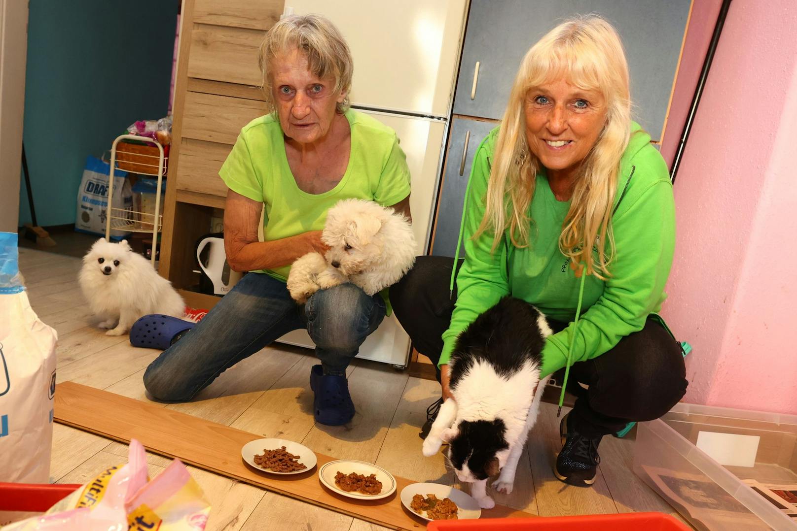 Irene H. (71) lebt mit sieben Katzen und zwei Hunden zusammen. Gabi Collmann vom Verein "Pfotenmarkt auf Rädern" liefert ihr regelmäßig Futter für die Vierbeiner.