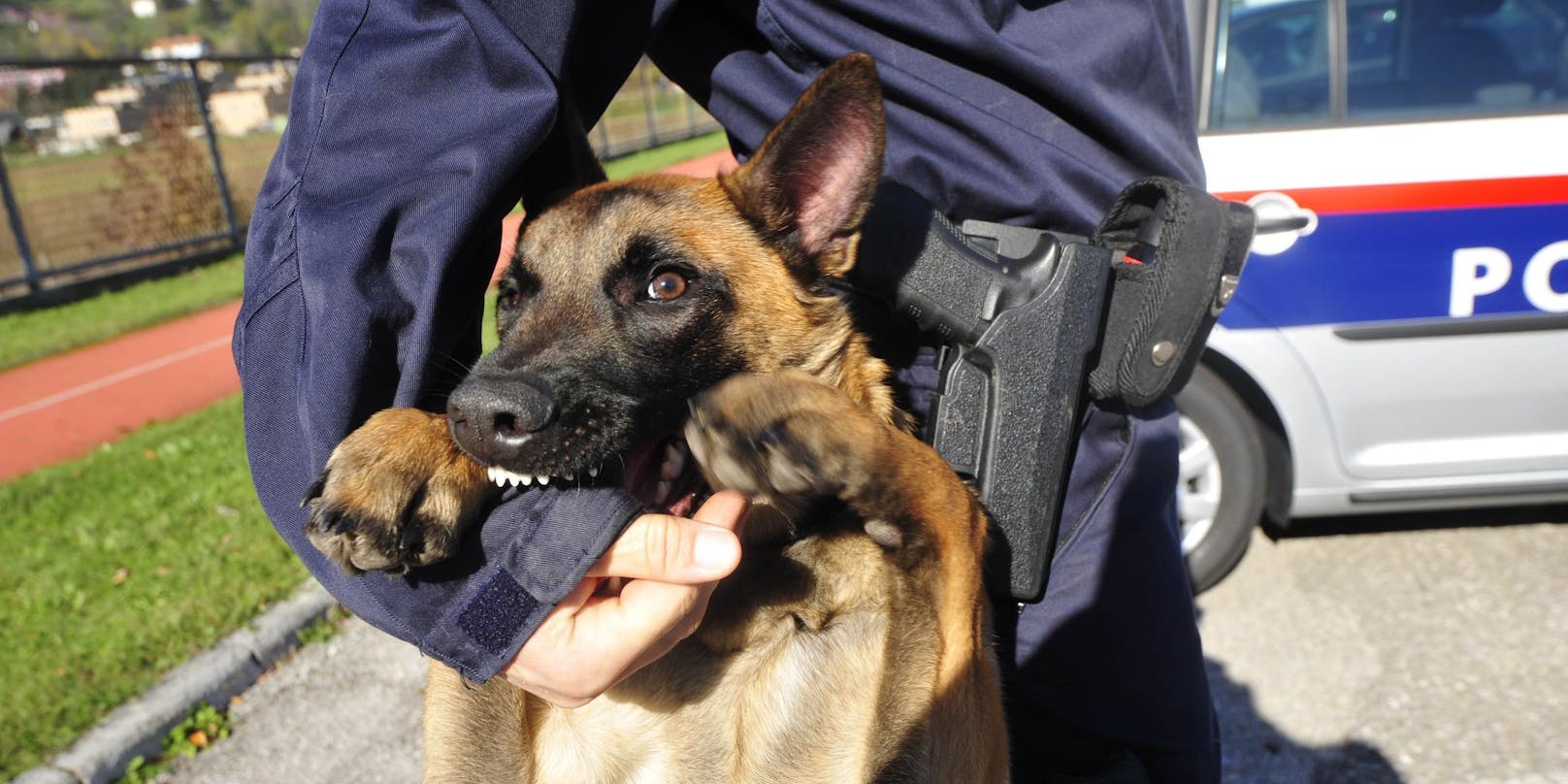 Die Polizei konnte den Geflüchteten mit Spürhund und Drohne abermals fassen. (Symbolbild)