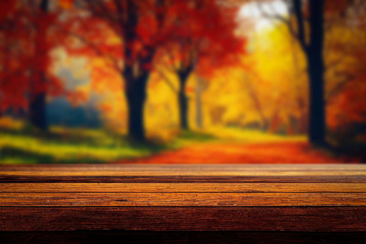 Das Wochenende bringt herbstliche Temperaturen ins Land. (Symbolbild)