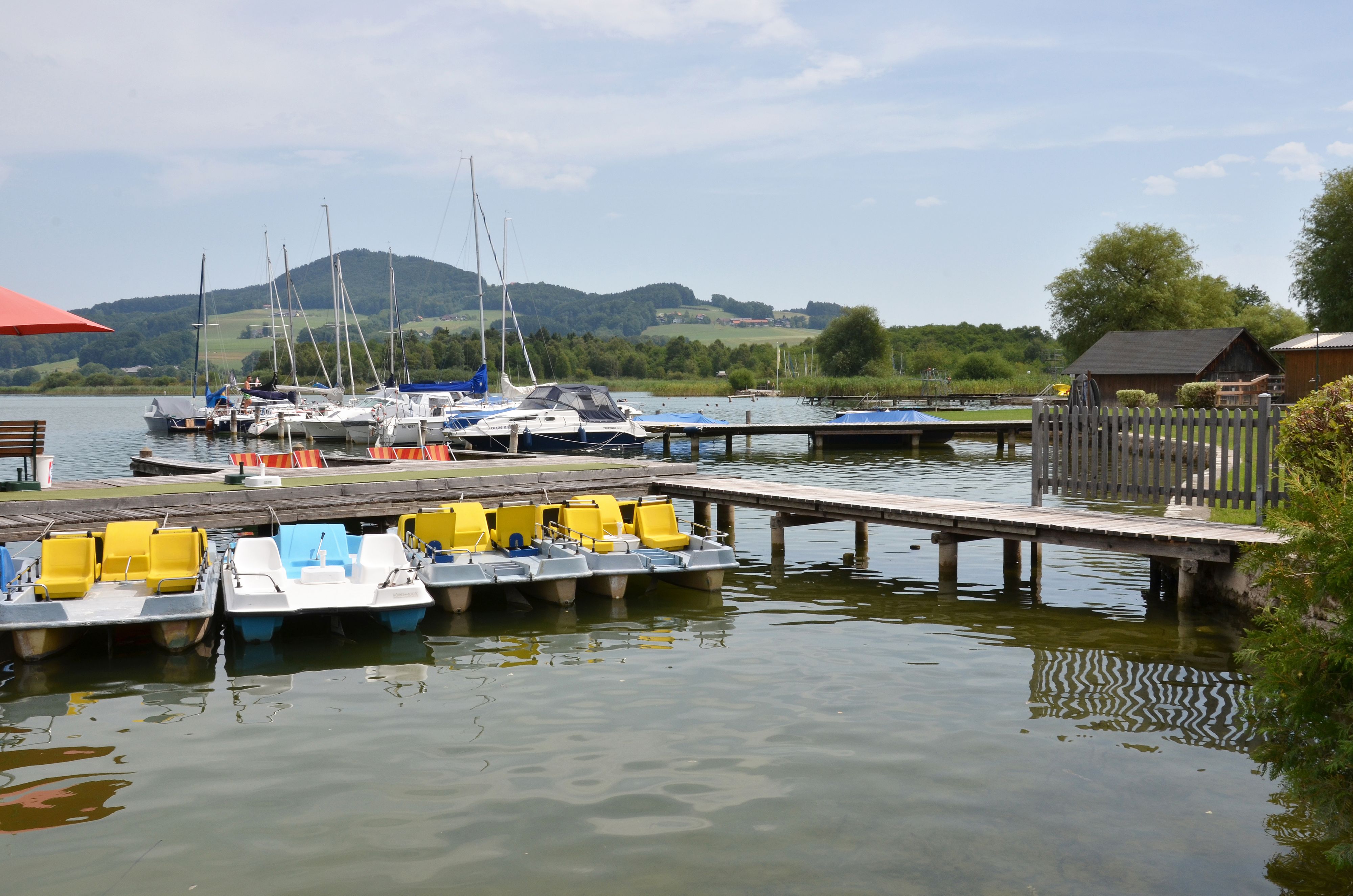 Der Obertrumer See ist einer der Betroffenen.