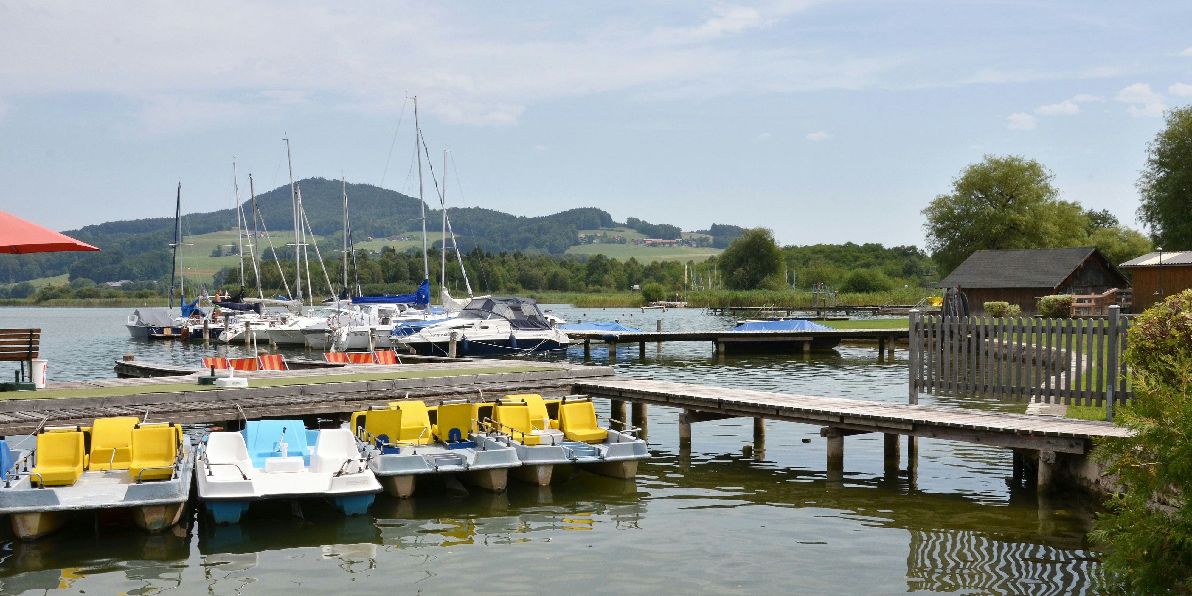 Der Obertrumersee ist einer der Betroffenen.