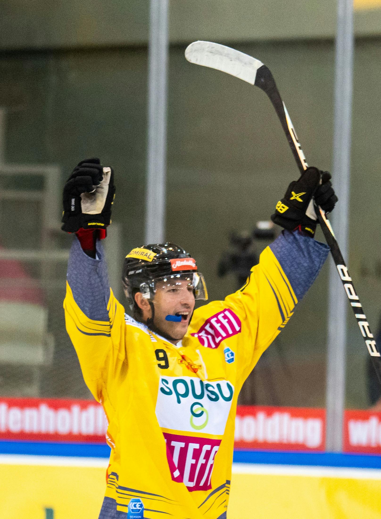 Vienna Capitals