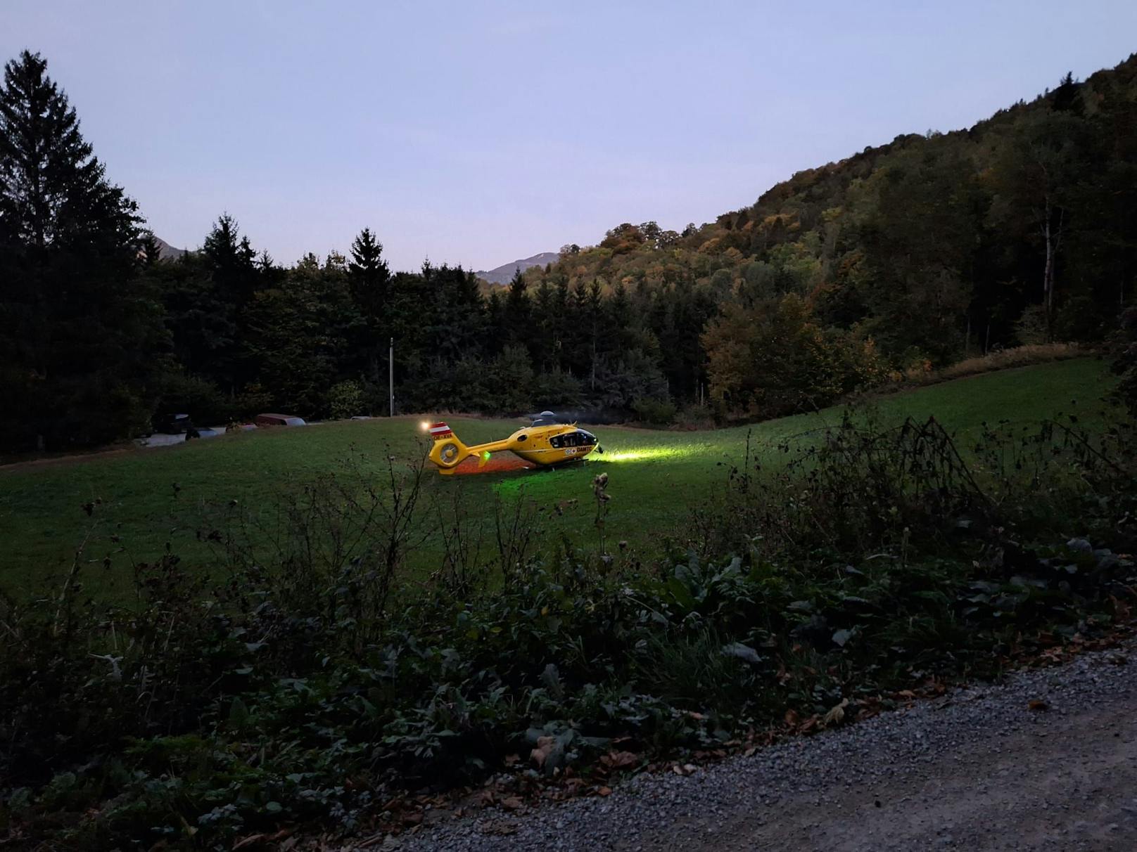 ... und verletzt auf der Forststraße liegen geblieben.