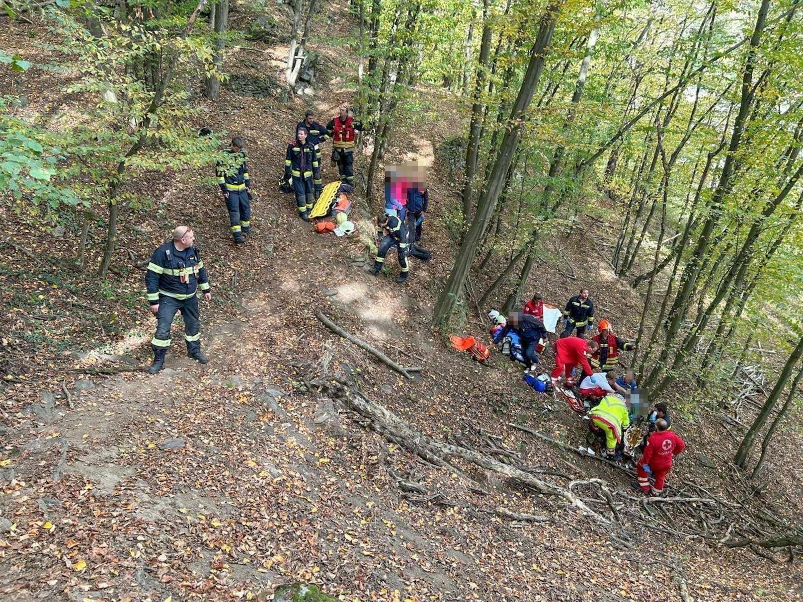 Die Frau musste vom Roten Kreuz erstversorgt ...&nbsp;