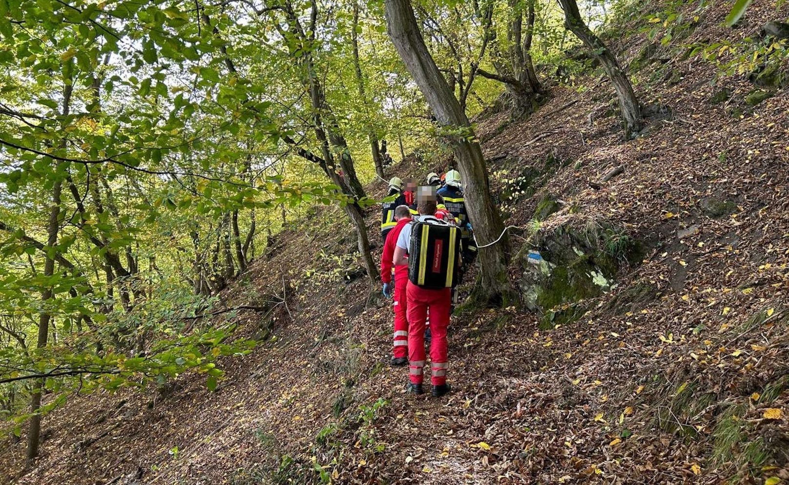 ... gemeinsam mit ihrer Familie am Rehberg in Krems wandern, ...&nbsp;