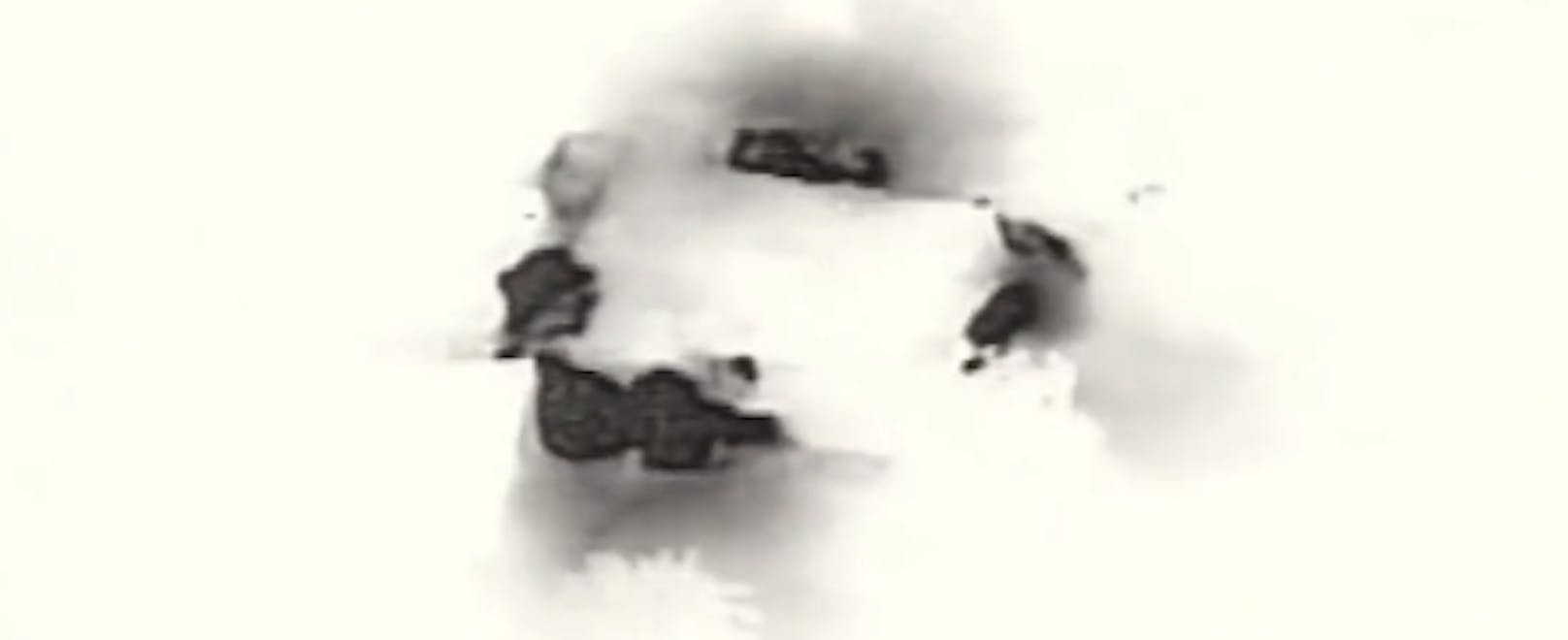 Die Armee veröffentlichte auf X auch ein Video des Angriffs.