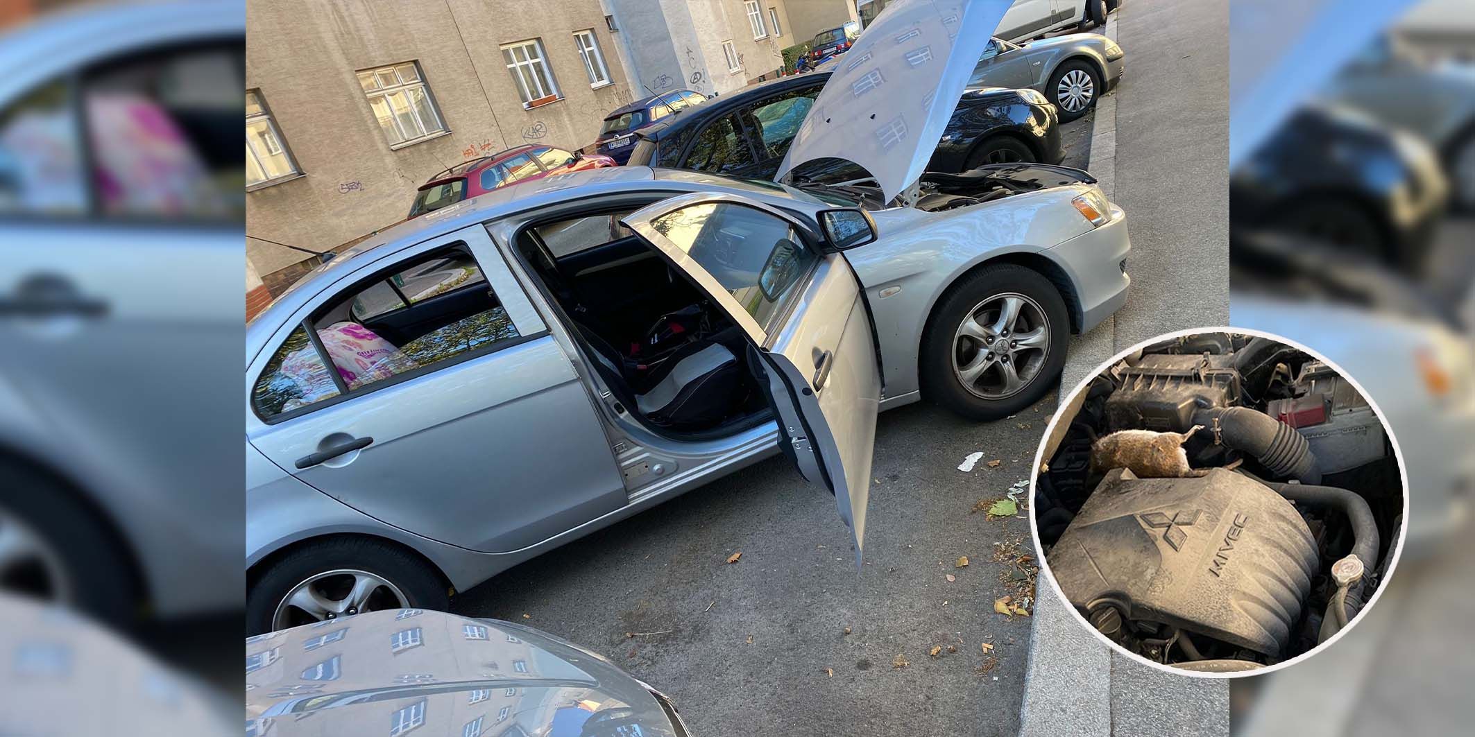 Ein Wiener kann nicht glauben, was in der Motorhaube ist