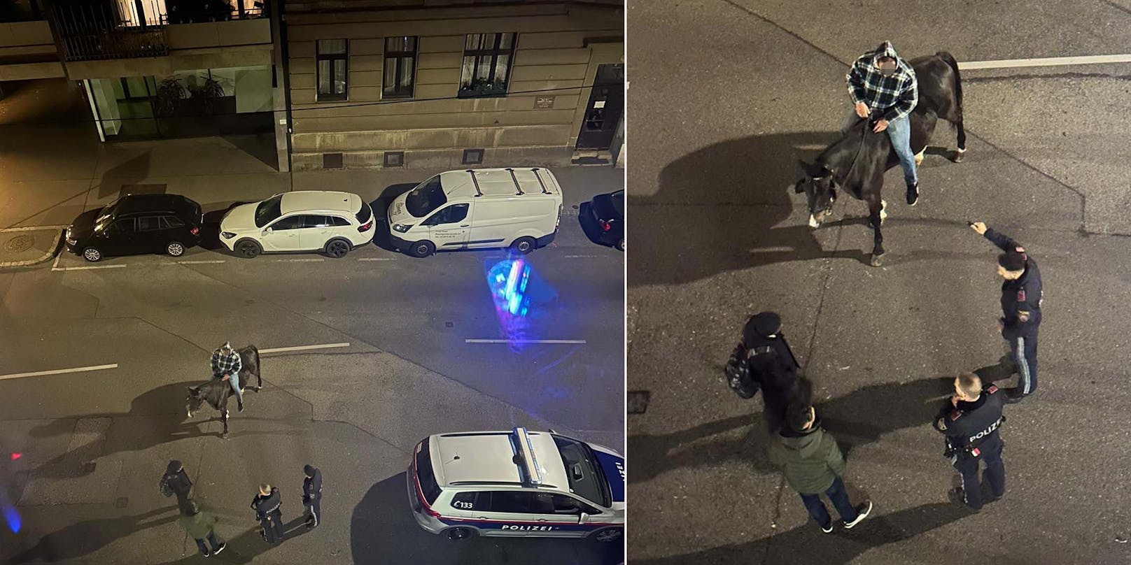 In der Nacht auf Dienstag kam es zu einem kuriosen Polizei-Einsatz in Wien-Simmering.