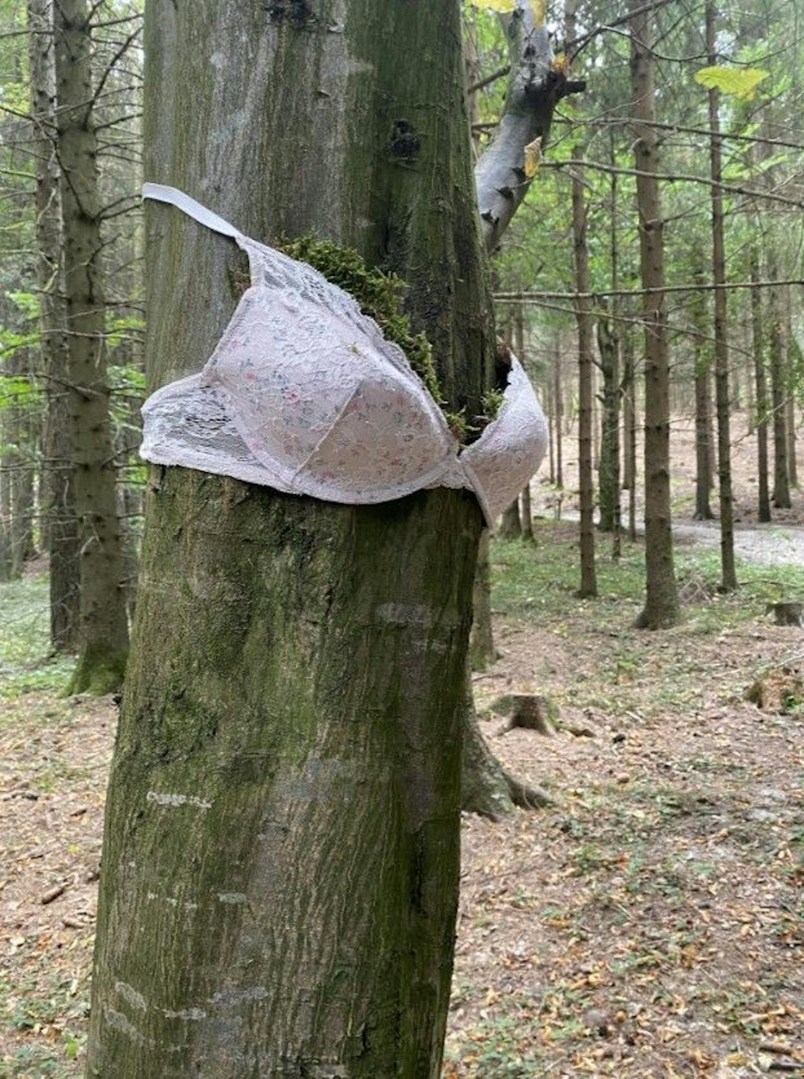 In einem Wald in Geiersberg im Innviertel entdeckte eine Oberösterreicherin Seltsames.