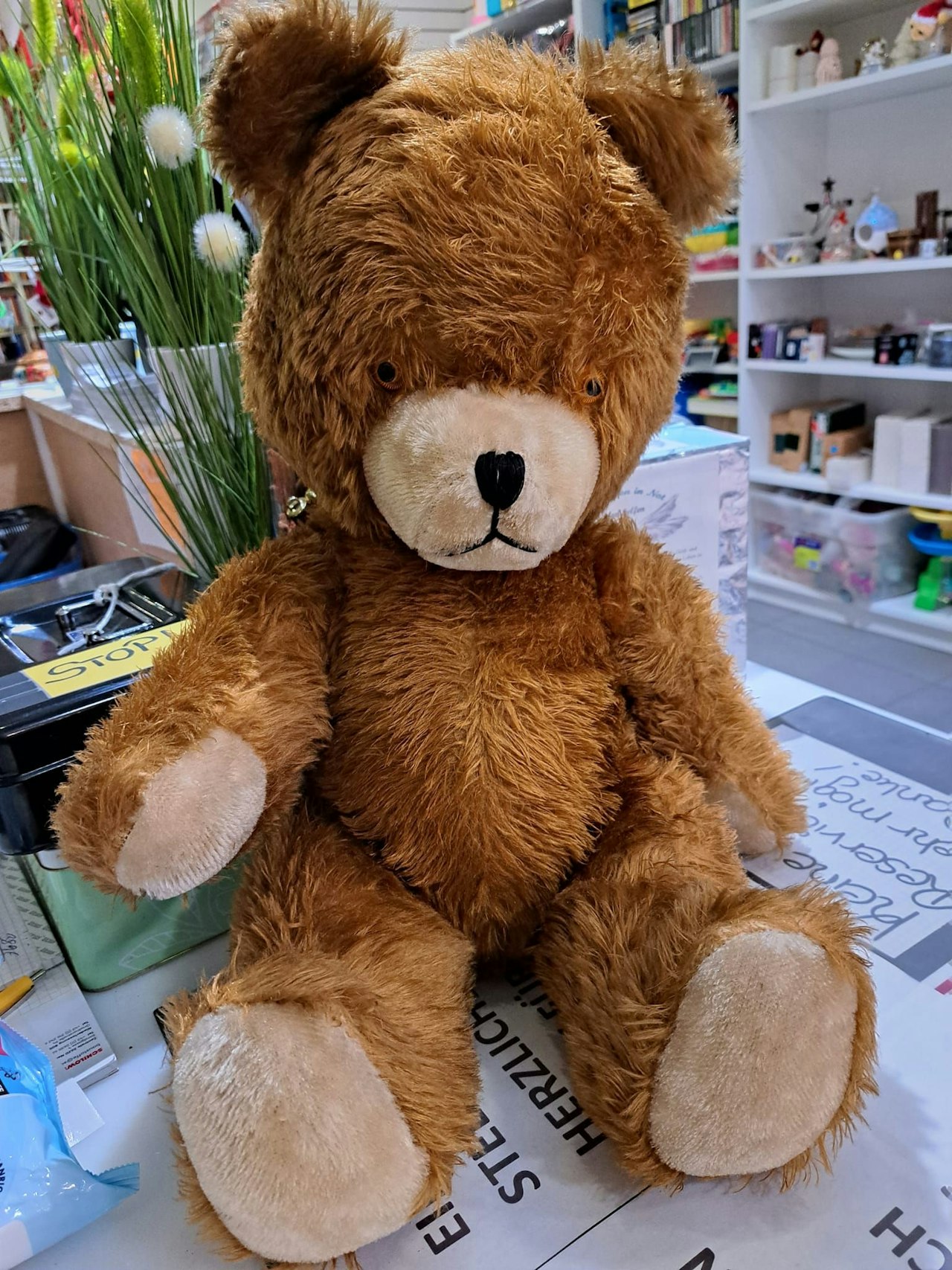 Heute.at - Verein sucht Spenden für Weihnachtspackerl für Kinder