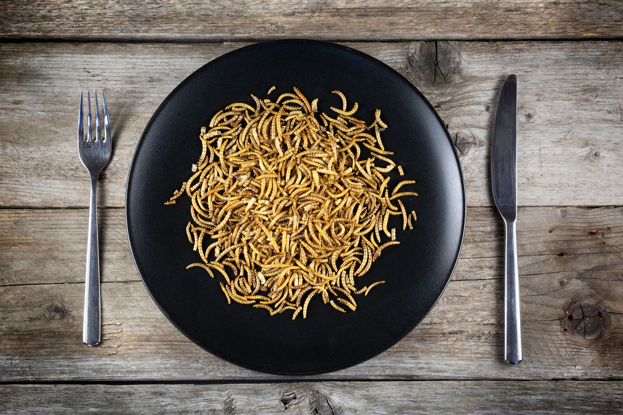 Zukunft der Ernährung.