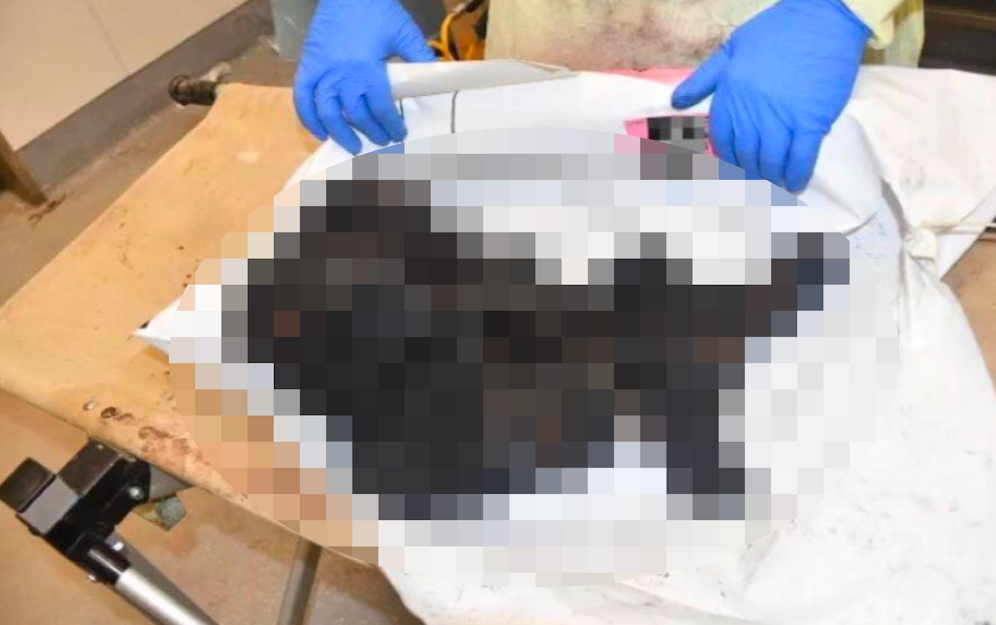 Dieses Bild, das auf der Plattform X (ehemals Twitter) geteilt wurde, wird von Online-Tools, die automatisch erkennen sollen, ob Bilder KI-generiert sind, und von menschlichen Experten für digital bearbeitete Bilder unterschiedlich bewertet. Davon berichtet das US-Magazin 404 Media.