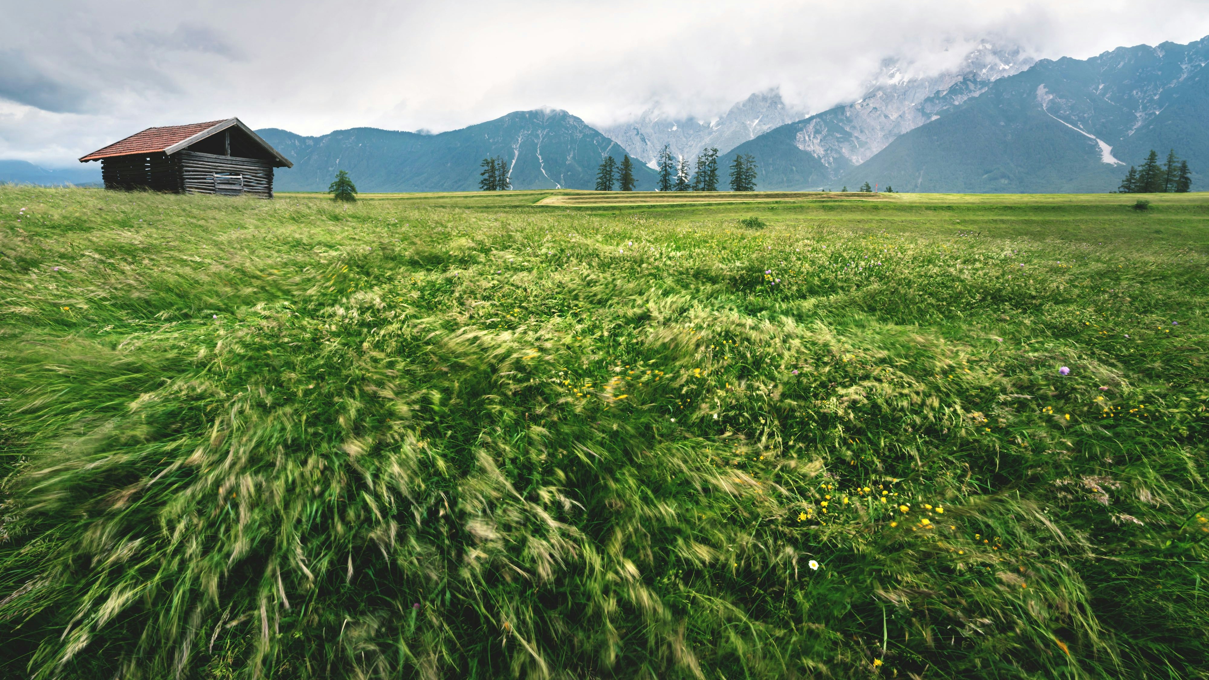 Ein Föhnsturm fegt jetzt durch Österreich. Symbolbild