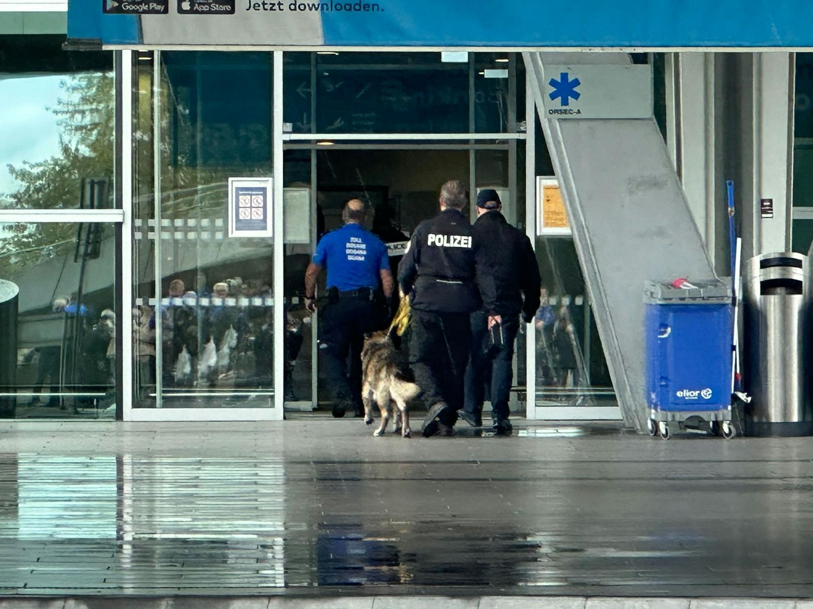 Um 15:30 Uhr betrat der Spürhund den Terminal.