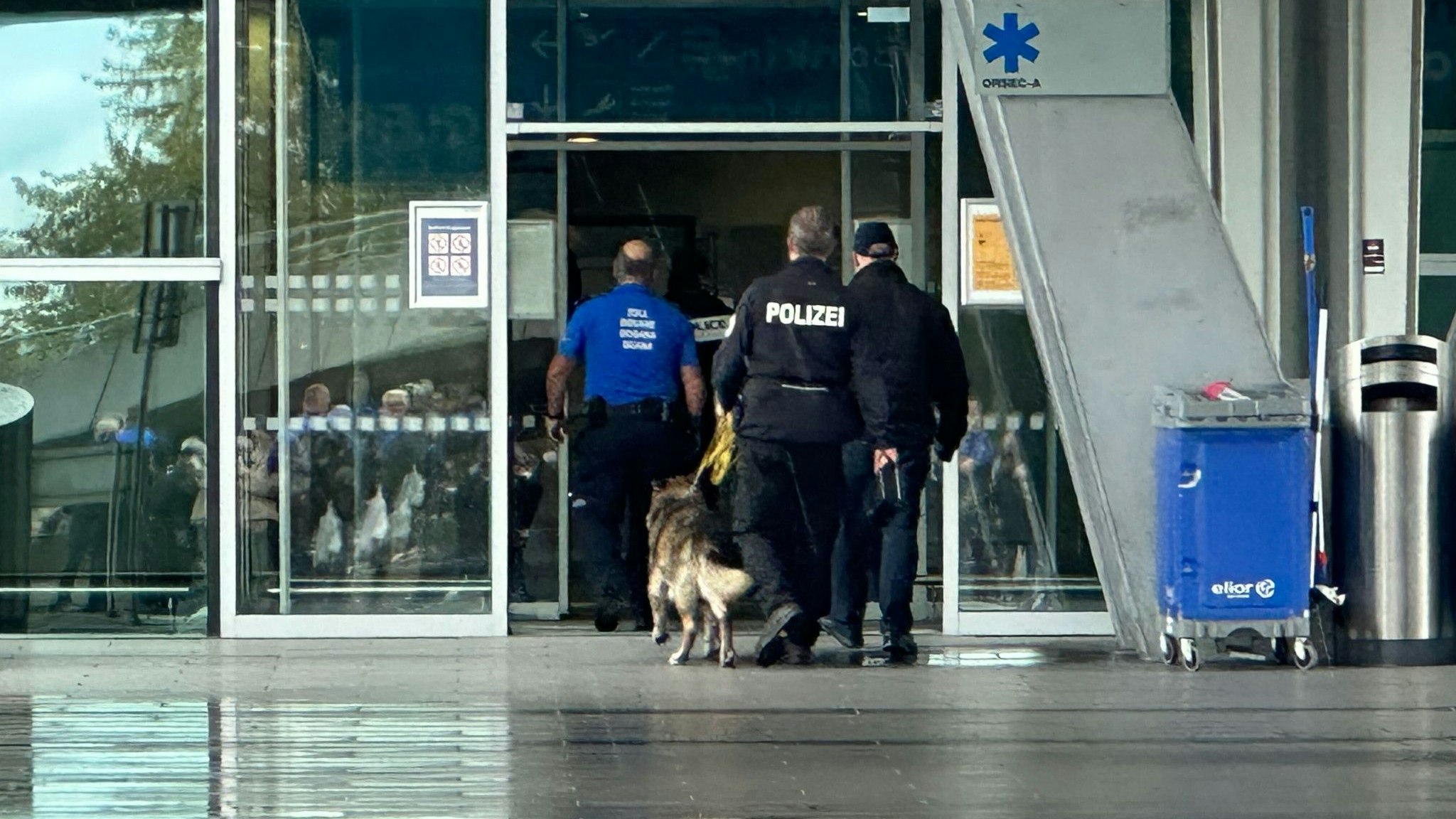 Um 15.30 Uhr betrat der Spürhund den Terminal.