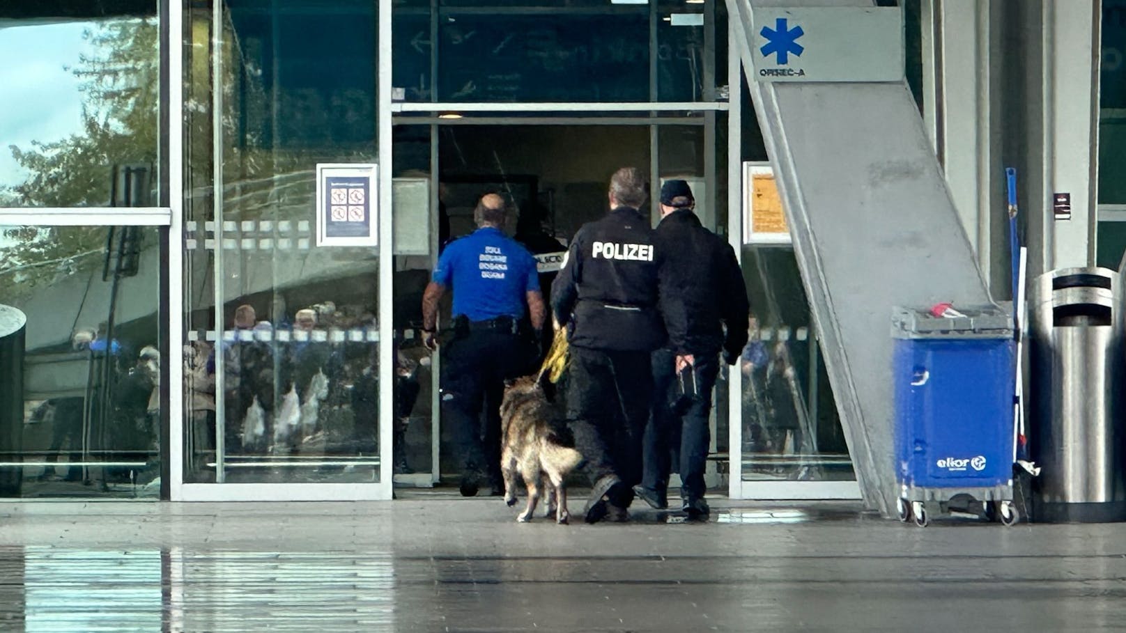 Euro-Airport evakuiert – Bomben-Spürhunde im Einsatz