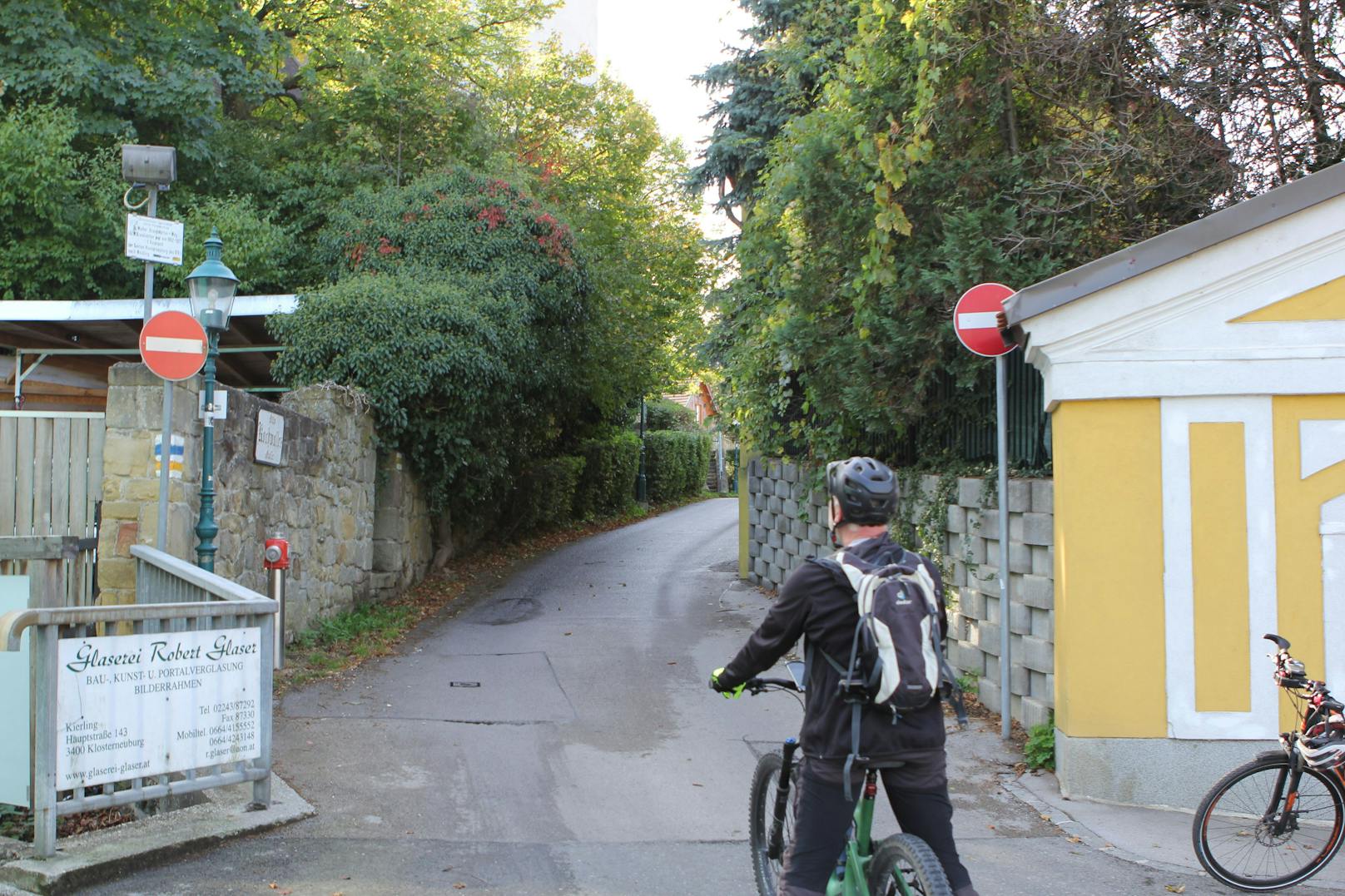 "Versprechen einlösen" – Radler-Demo in Klosterneuburg