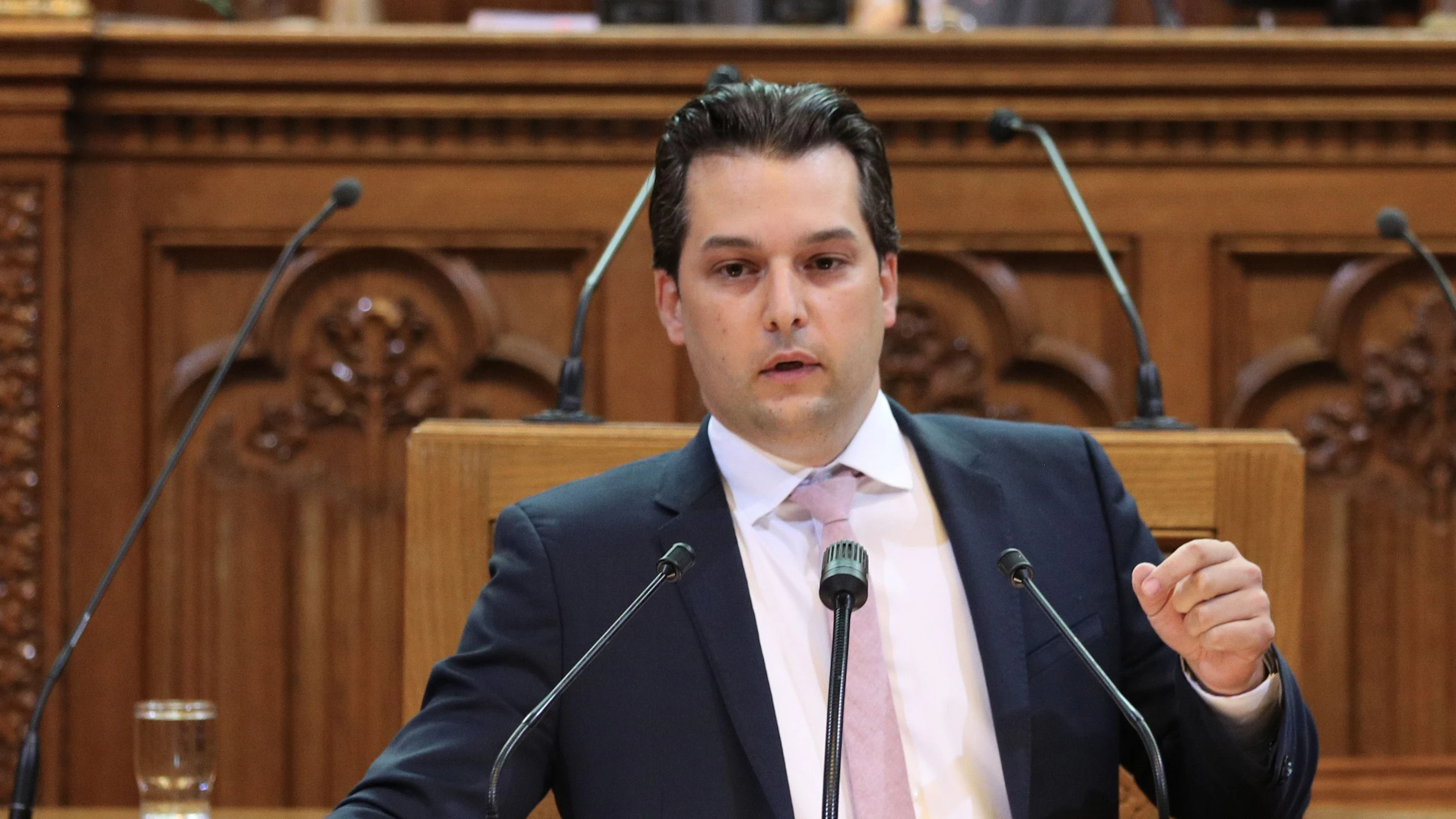 Wiener FP-Chef Dominik Nepp im Gemeinderat.