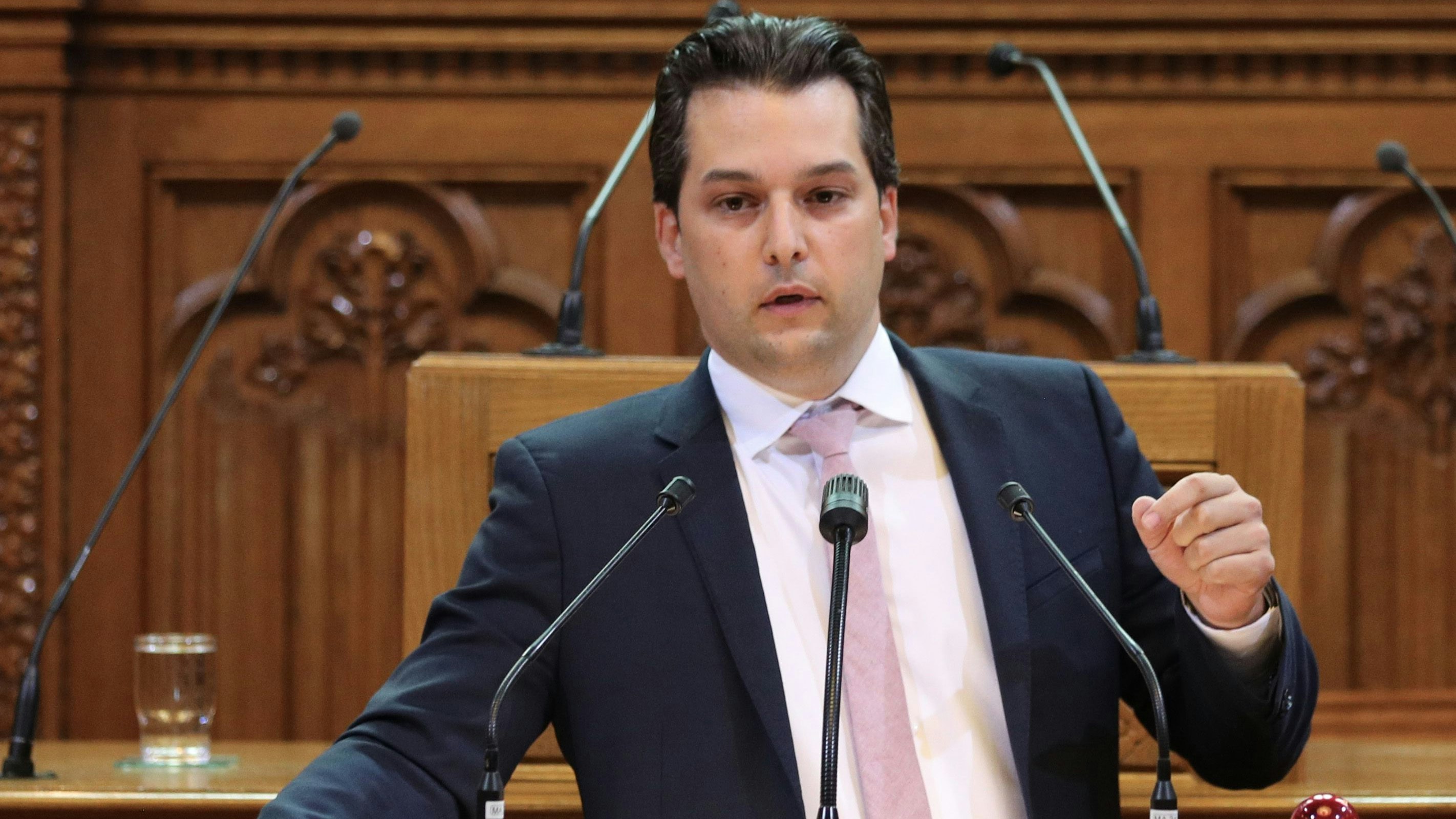 Wiener FP-Chef Dominik Nepp im Gemeinderat.