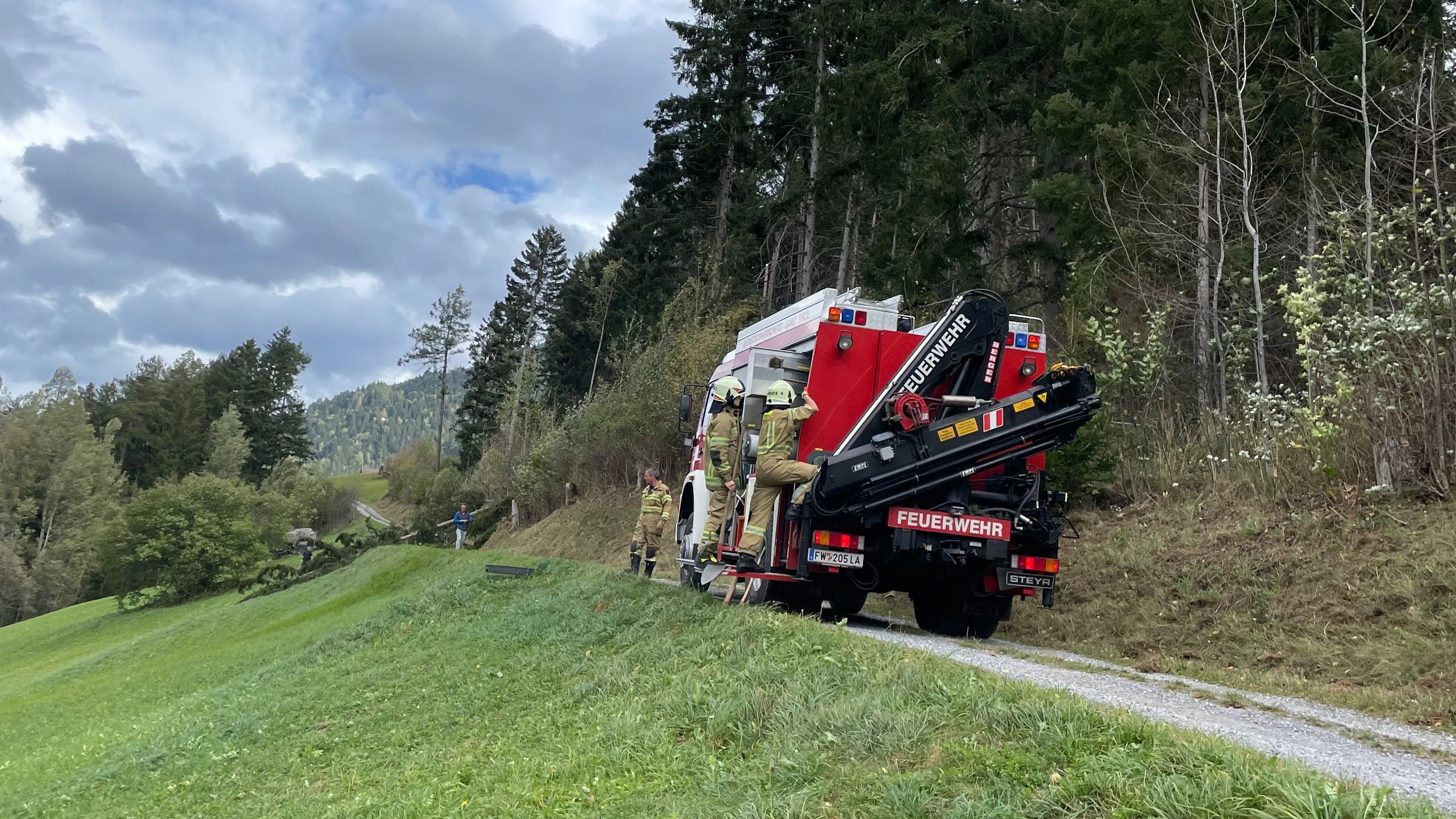 Hier wurde der Mann von dem Baum erschlagen.