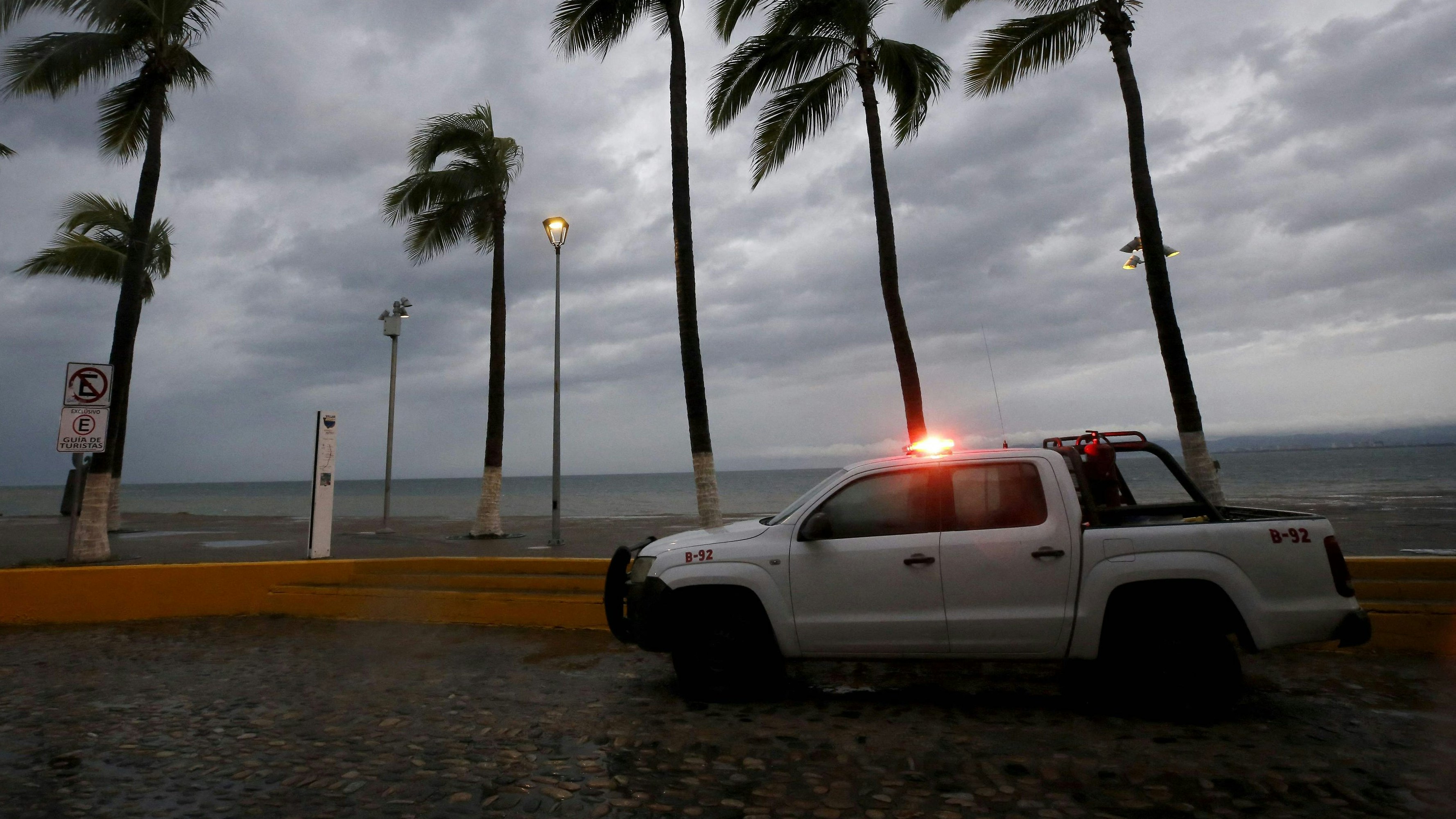 Download von www.picturedesk.com am 20.10.2023 (10:52).  TOPSHOT - Palm trees withstand the wind in Puerto Vallarta, Jalisco State, Mexico, on October 10, 2023, as Hurricane Lidia came ashore near this popular beach resort in the Mexican Pacific coast. Hurricane Lidia made landfall Tuesday on Mexico's Pacific coast as an "extremely dangerous" Category 4 storm, threatening to bring flooding and mudslides, forecasters said. President Andres Manuel Lopez Obrador said earlier that civil protection personnel were on alert and around 6,000 members of the armed forces had been deployed to help residents. (Photo by Ulises RUIZ / AFP) - 20231010_PD15622 - Rechteinfo: Rights Managed (RM) Nur für redaktionelle Nutzung! Werbliche Nutzung erfordert Freigabe: bitte schicken Sie uns eine Anfrage.