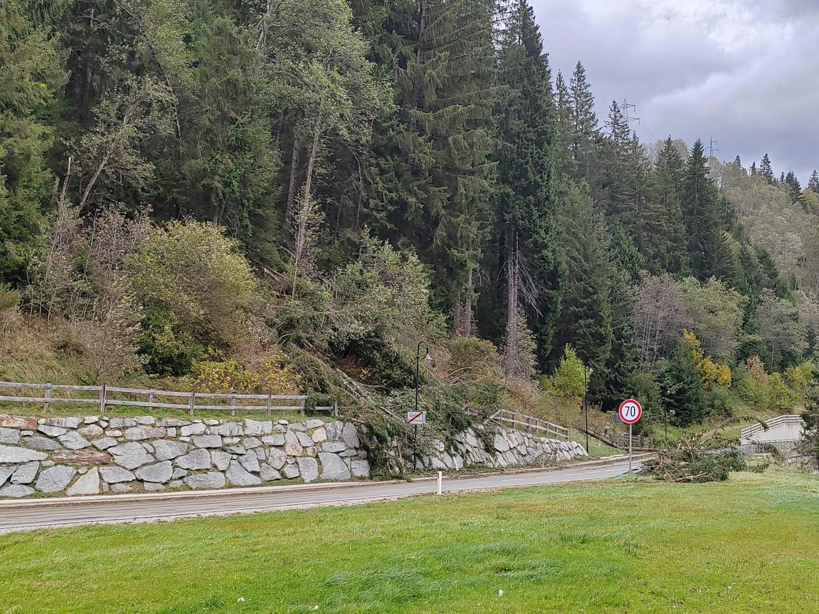 Sturmschäden nahe Zell am Ziller: Zwischen Hainzenberg und Gmünd musste die Straße wegen umgestürzter Bäume in beiden Richtungen gesperrt werden.