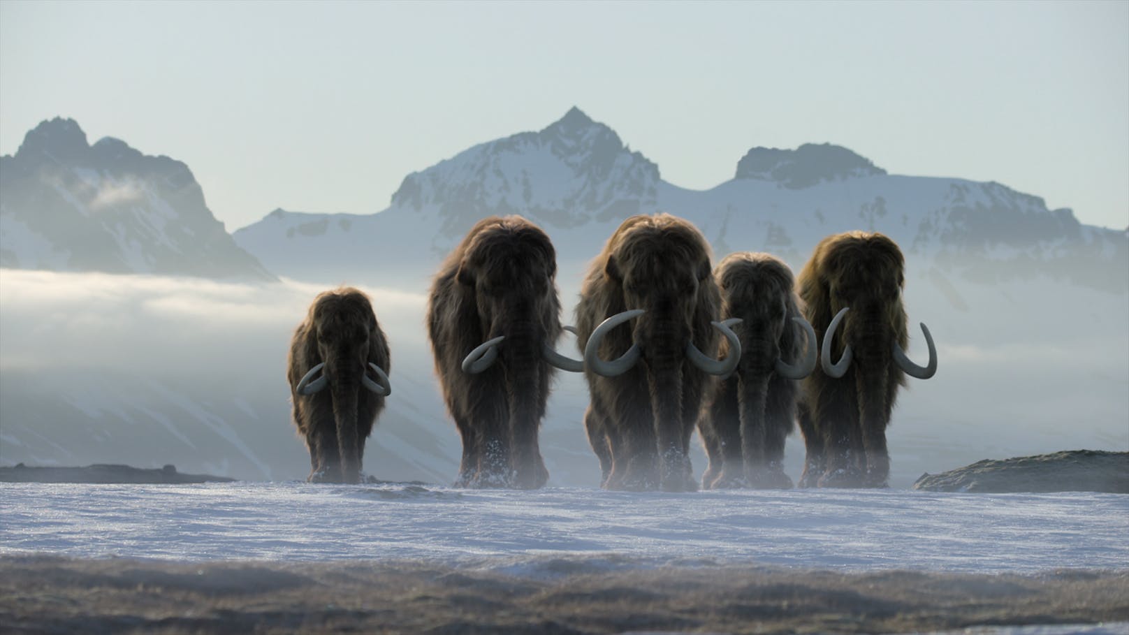 Eine Herde Mammuts