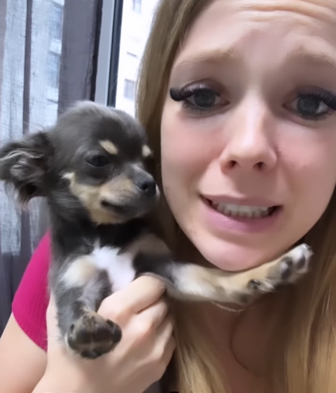 Influencerin <strong>Anne Wünsche</strong> – im Bild mit ihrem Chihuahua Toni – versteht die Welt nicht mehr.