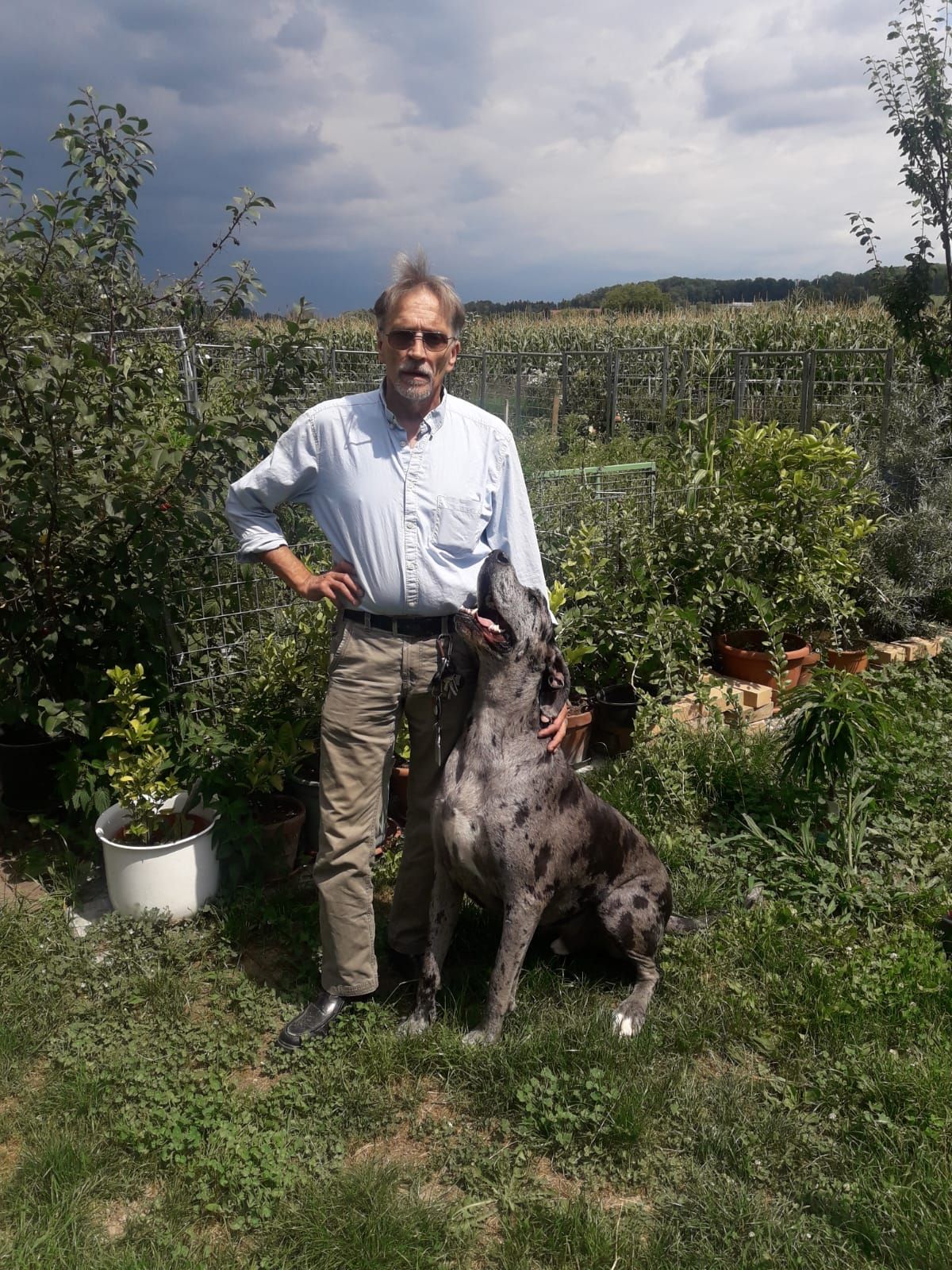 Beschäftigt sich seit Jahrzehnten mit Hunden: Tierrettung-OÖ-Chef Willy Schnebel.