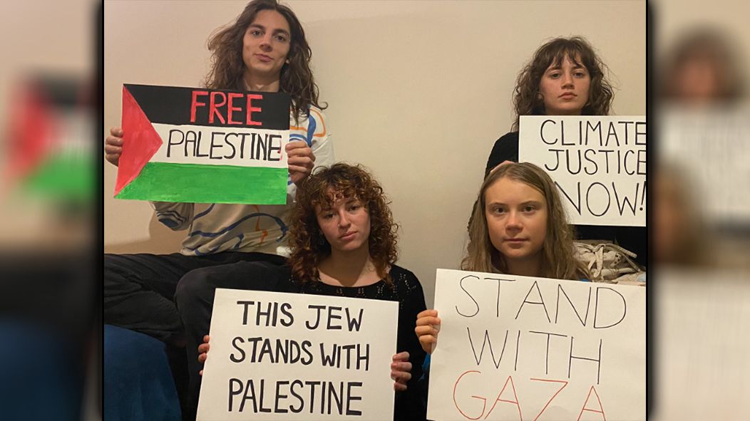 Mit diesem Posting stieß Greta Thunberg sogar Mitstreiterinnen vor den Kopf.