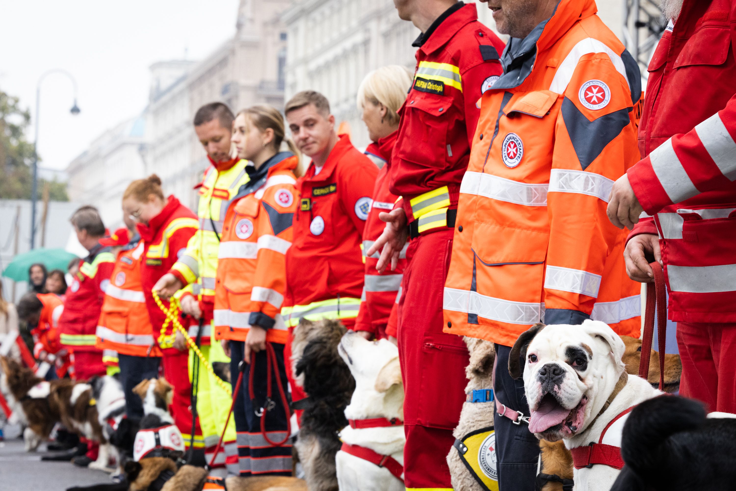 Am 25. und 26.10. bieten die Helfer Wiens die größte Sicherheitsleistungsschau Österreichs am Wiener Rathausplatz.
