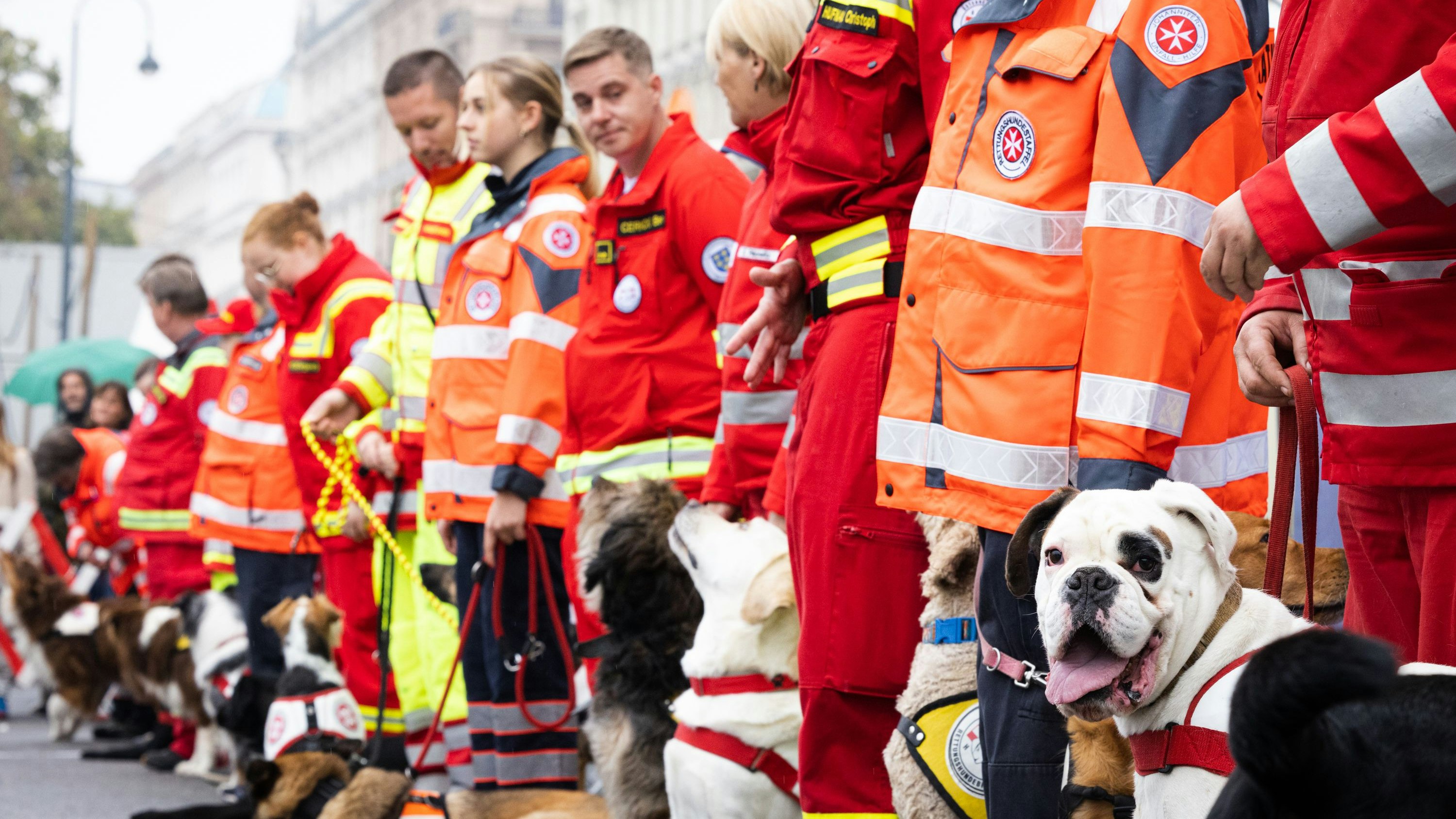 Am Nationalfeiertag bieten die Helfer Wiens die größte Sicherheitsleistungsschau Österreichs am Wiener Rathausplatz. 