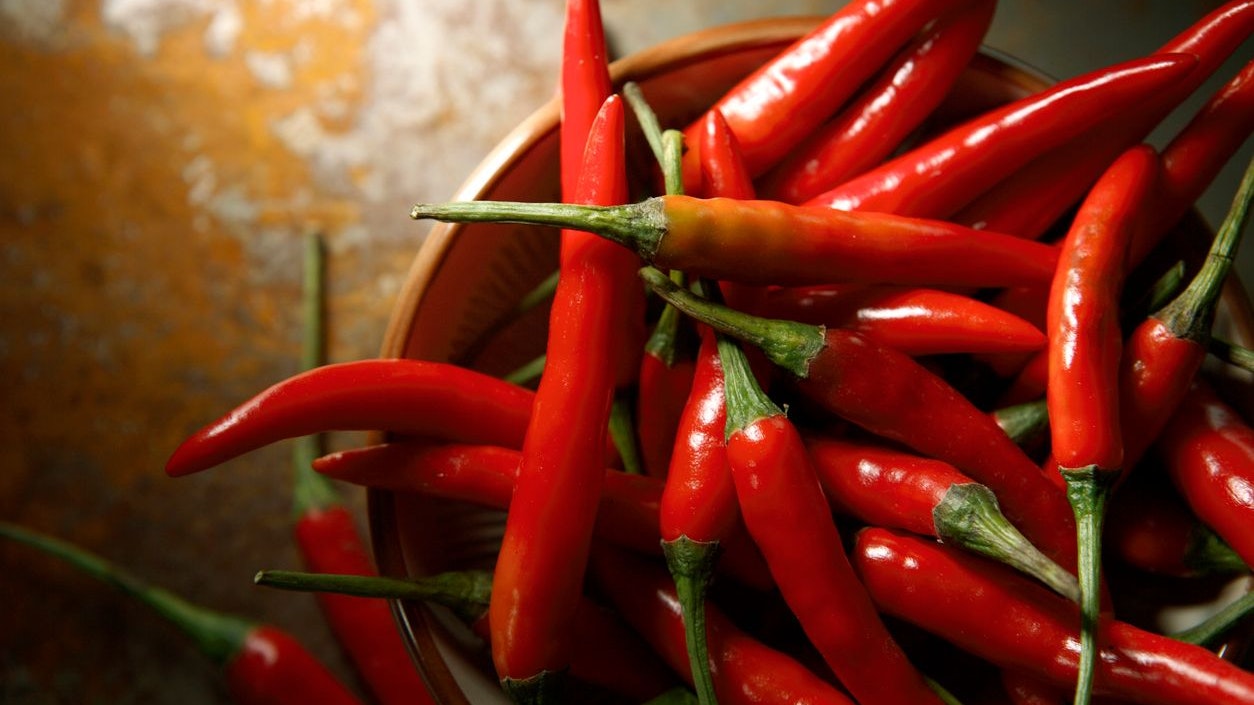 More Photos like this here...