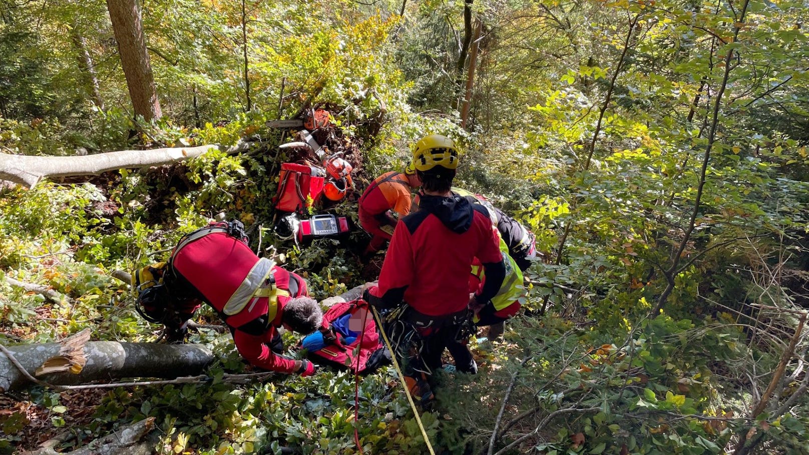 Tiroler bei Forstarbeiten schwer verletzt