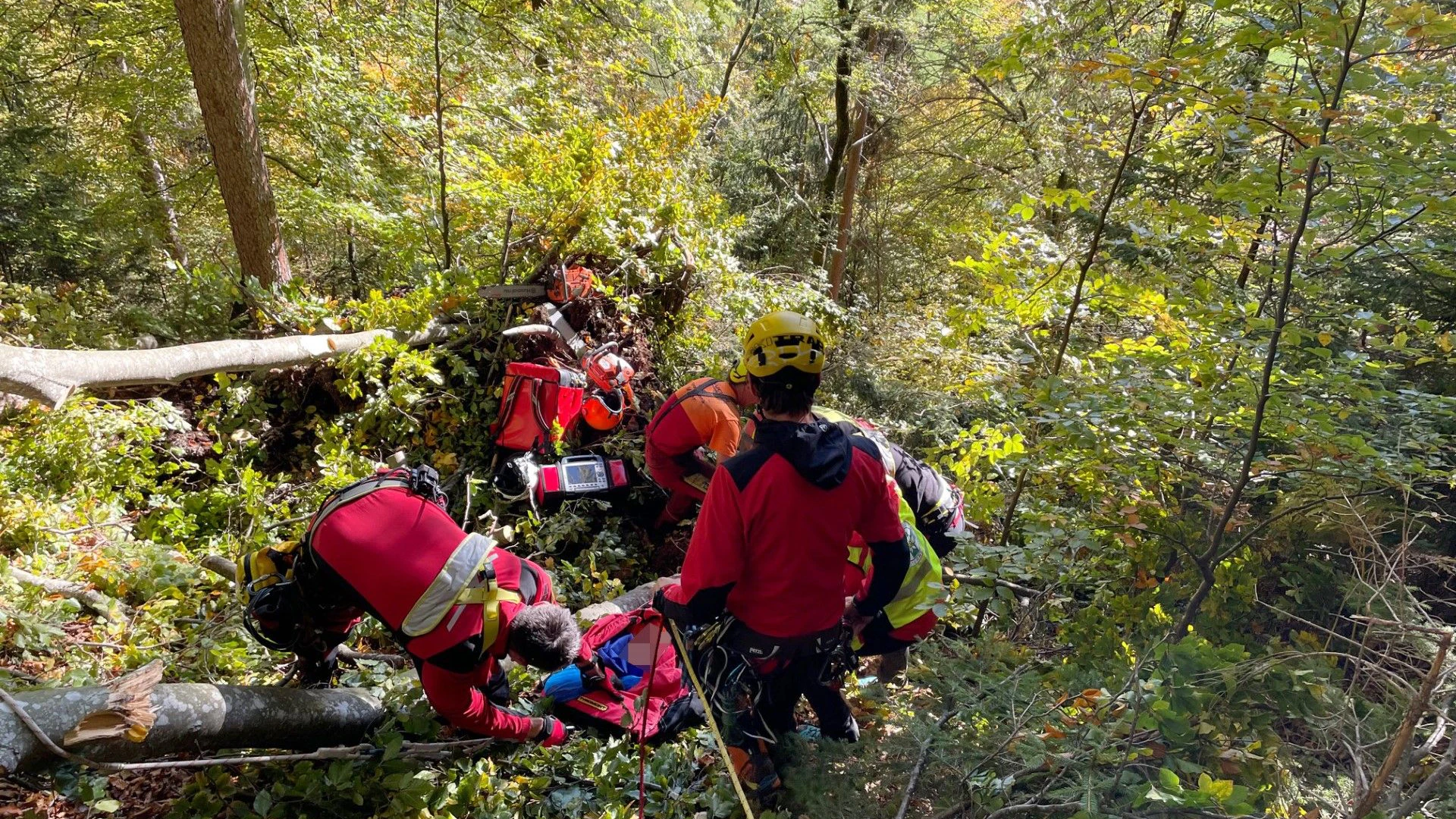 Heute.at - Mann (55) geht in den Wald, stirbt tragischen Tod